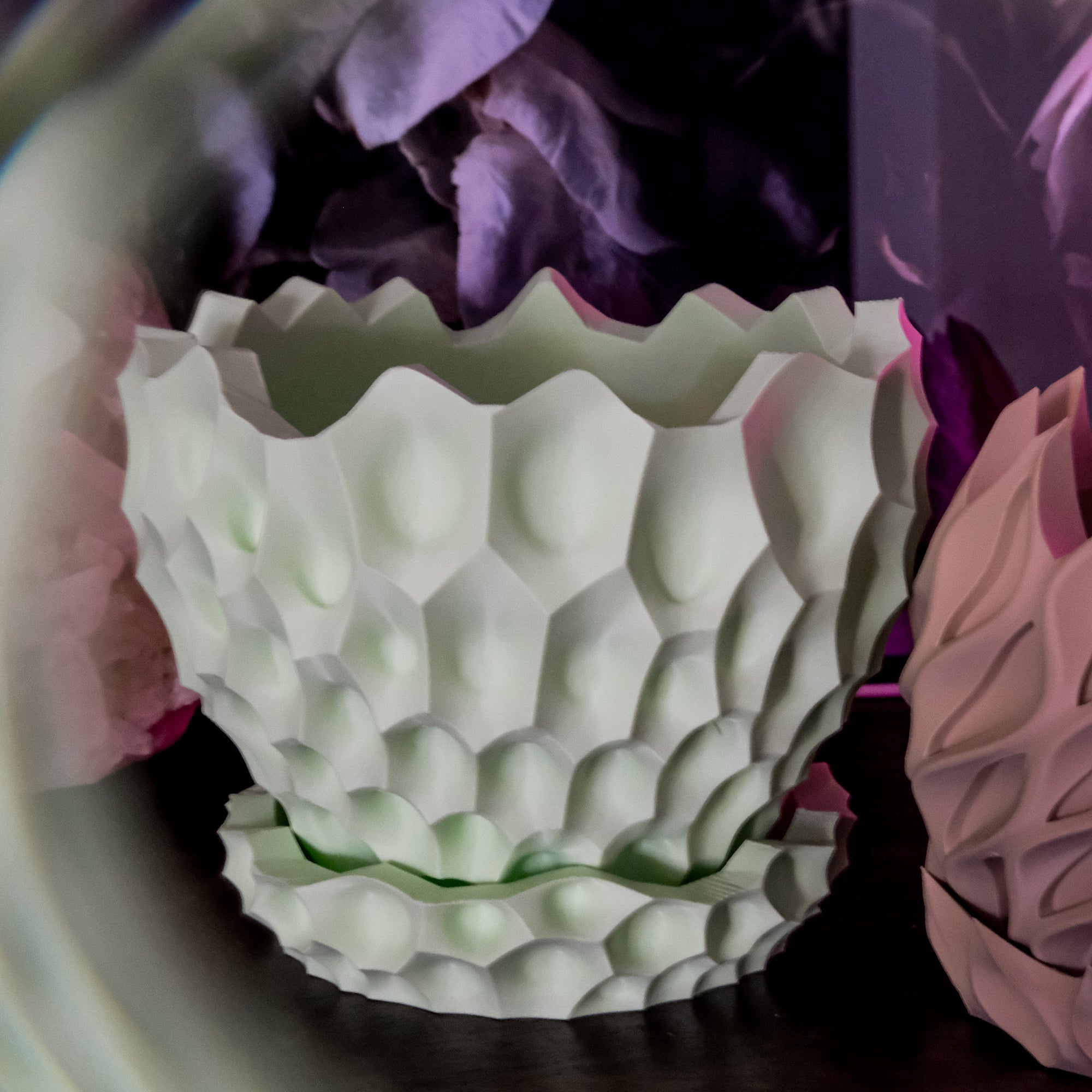 Plant Pots