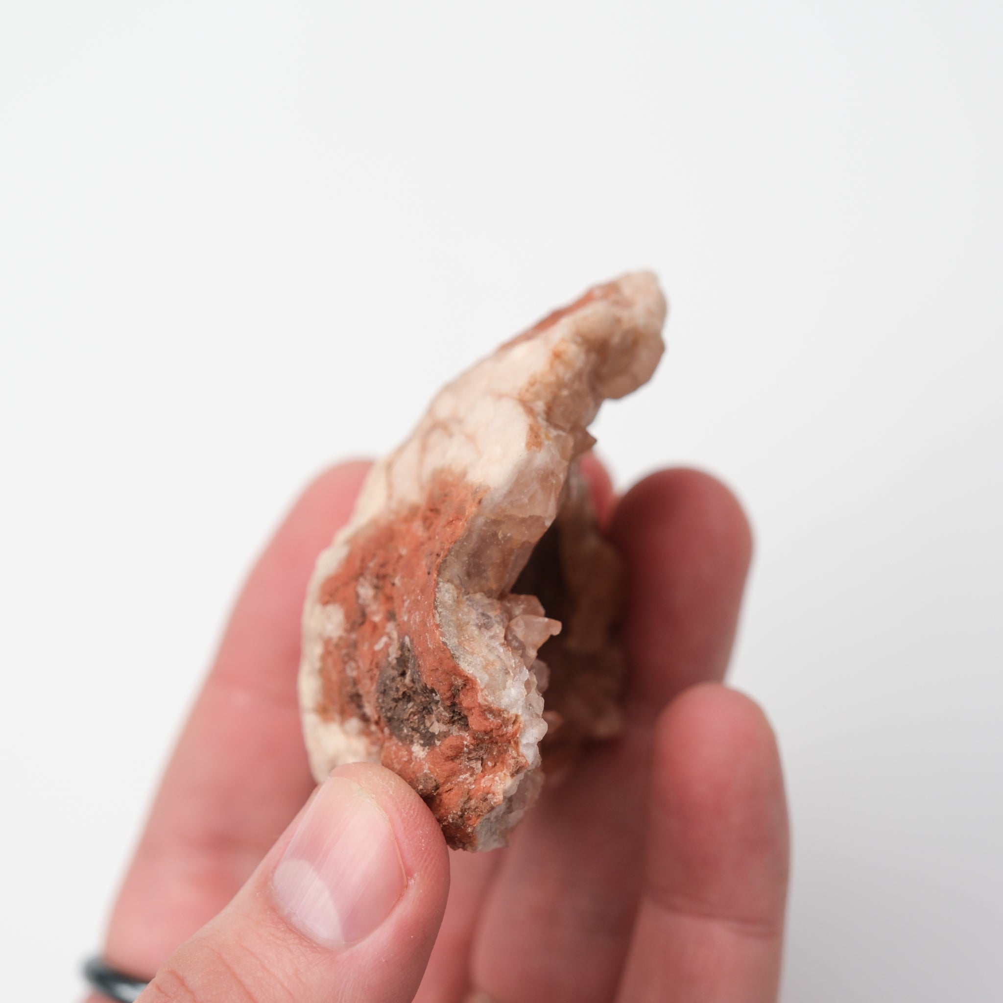 Pink Amethyst geode from Noctis Studio with vibrant purple crystals and a rugged outer shell in a natural setting.