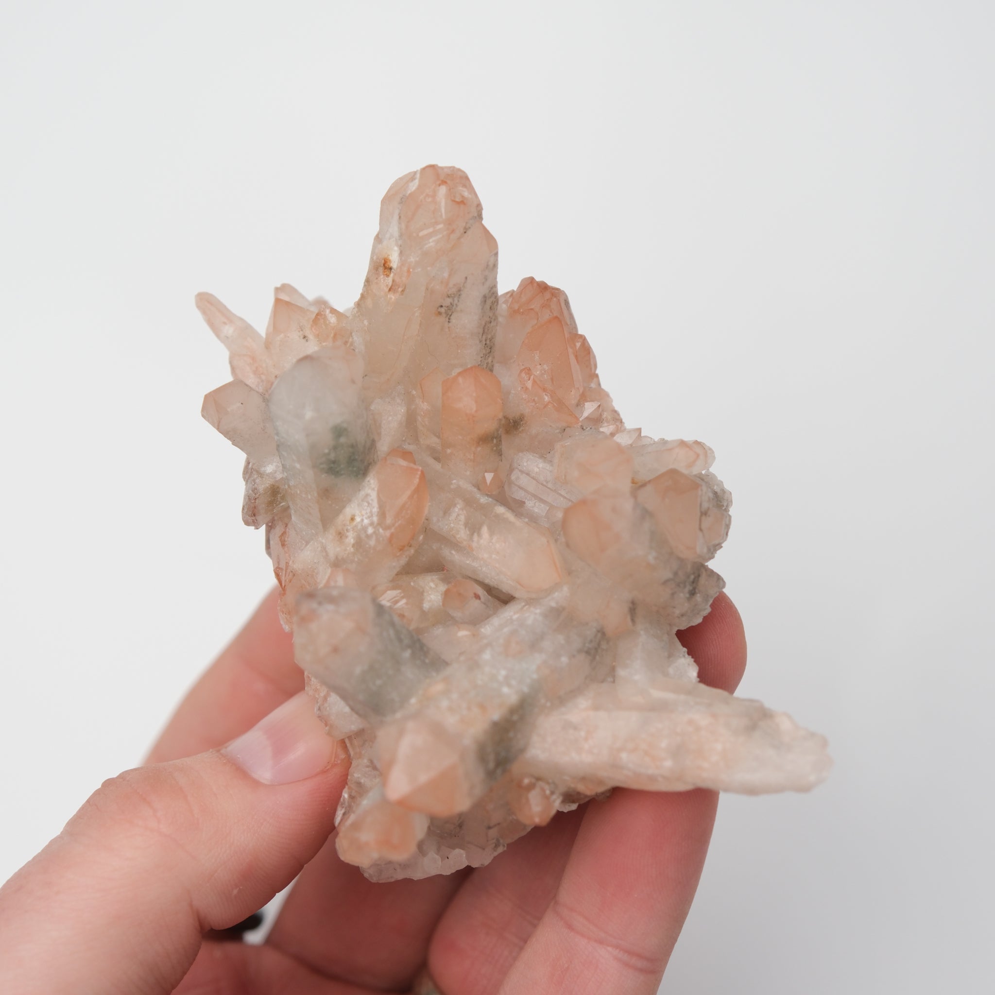 Orange River Quartz cluster from Noctis Studio showing vibrant orange crystals arranged in a natural mineral formation.