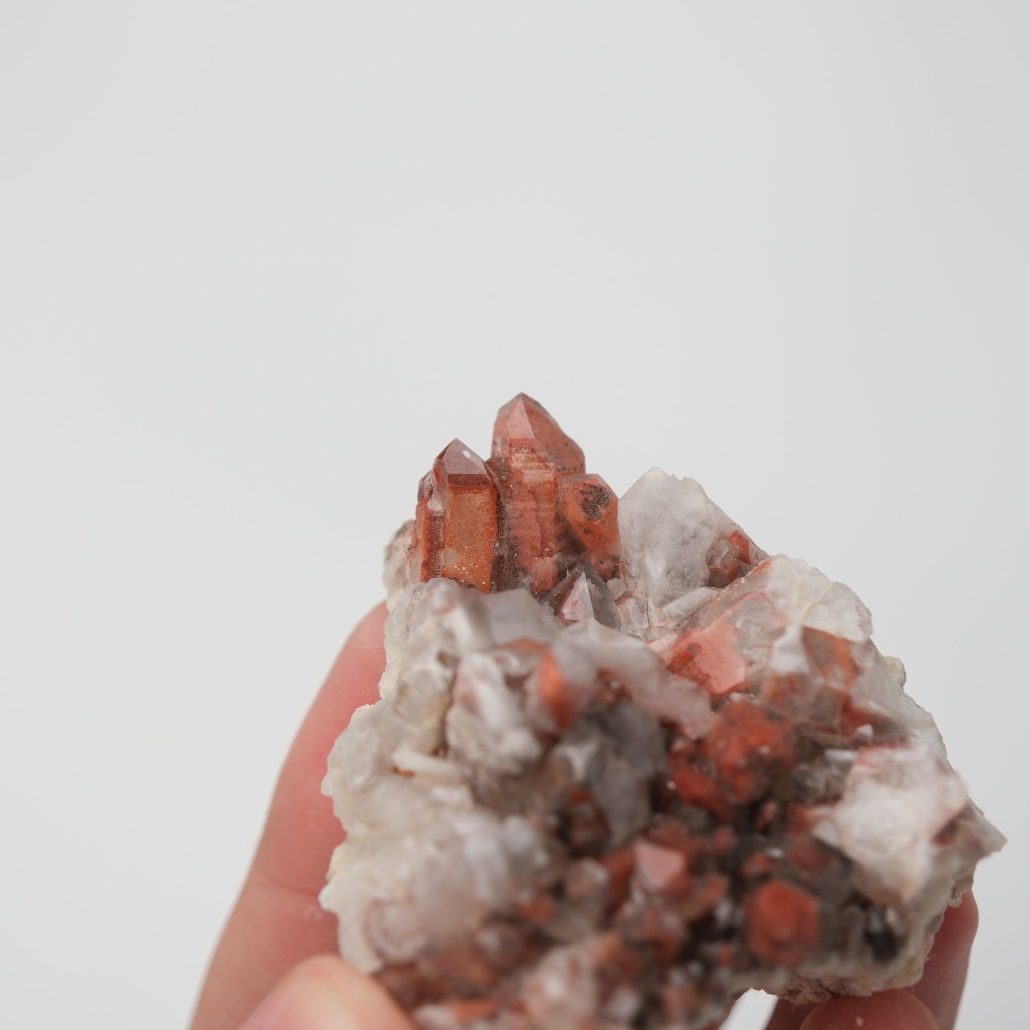 Orange River quartz cluster from Noctis Studio featuring vibrant orange mineral formations on a natural rock base.