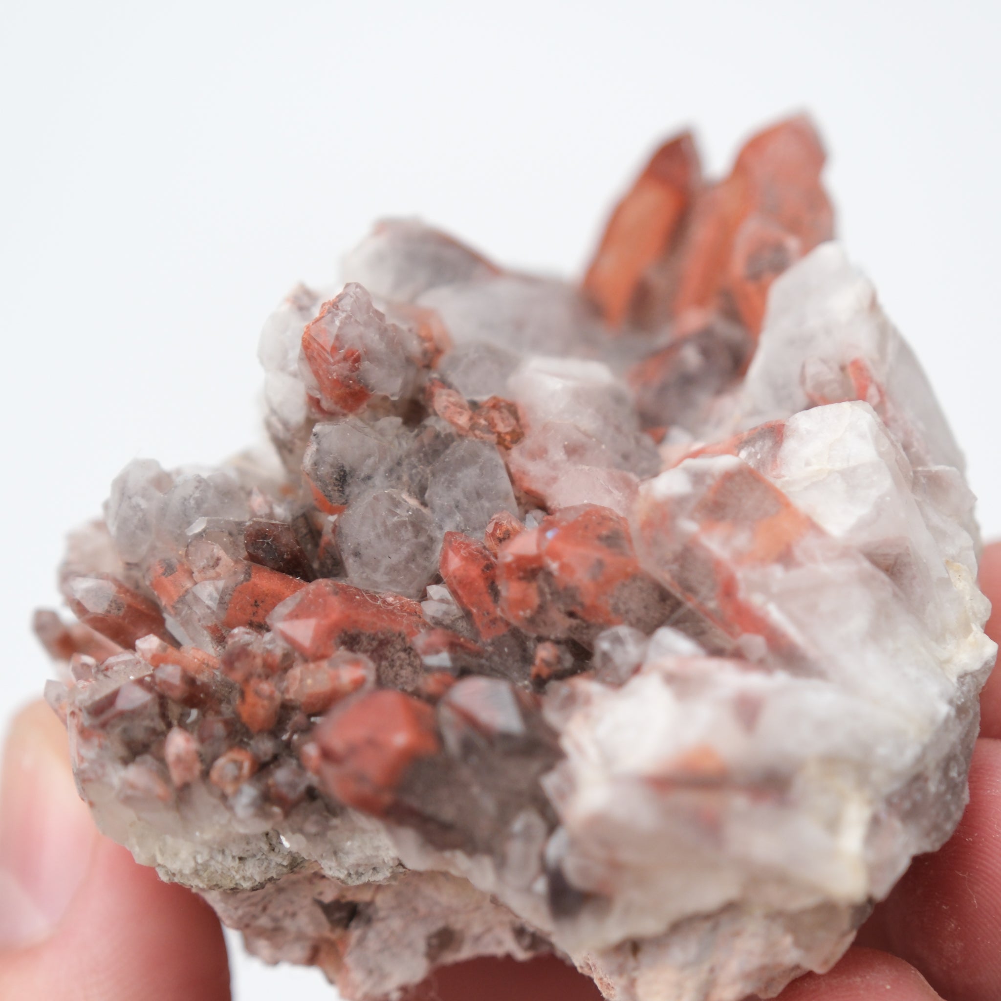 Orange River Quartz Cluster from Noctis Studio, featuring vibrant orange quartz crystals in a natural mineral formation.