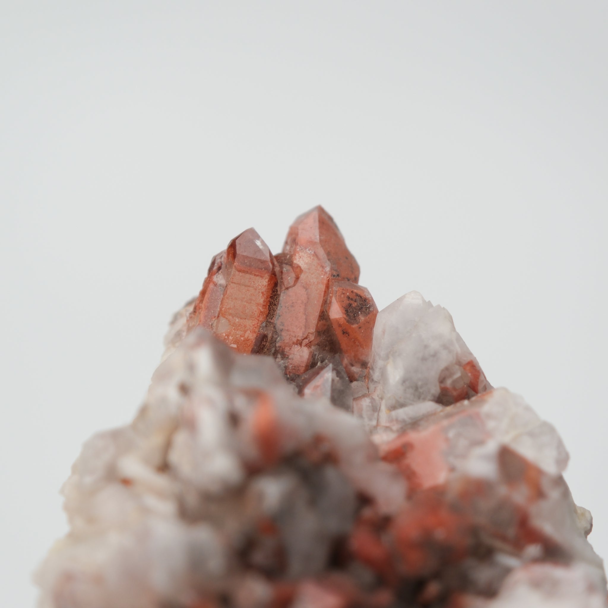 Orange River Quartz Cluster from Noctis Studio showing vibrant orange mineral crystals arranged in a natural formation.
