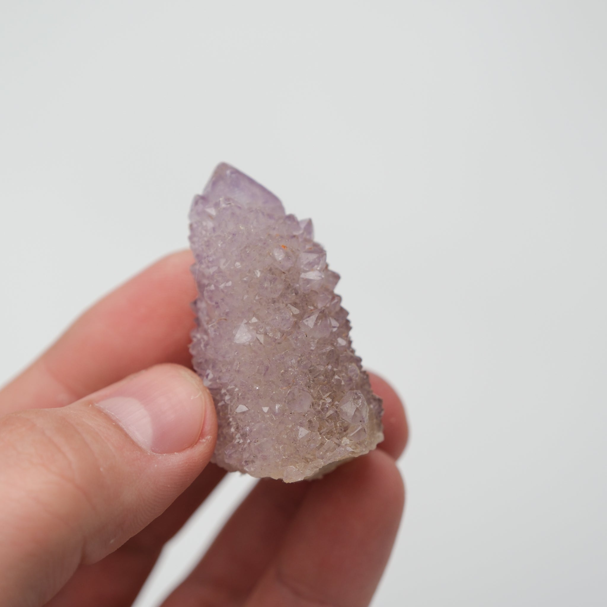 Noctis Studio Spirit Quartz cluster showing multiple translucent purple and clear crystal points on a white background.