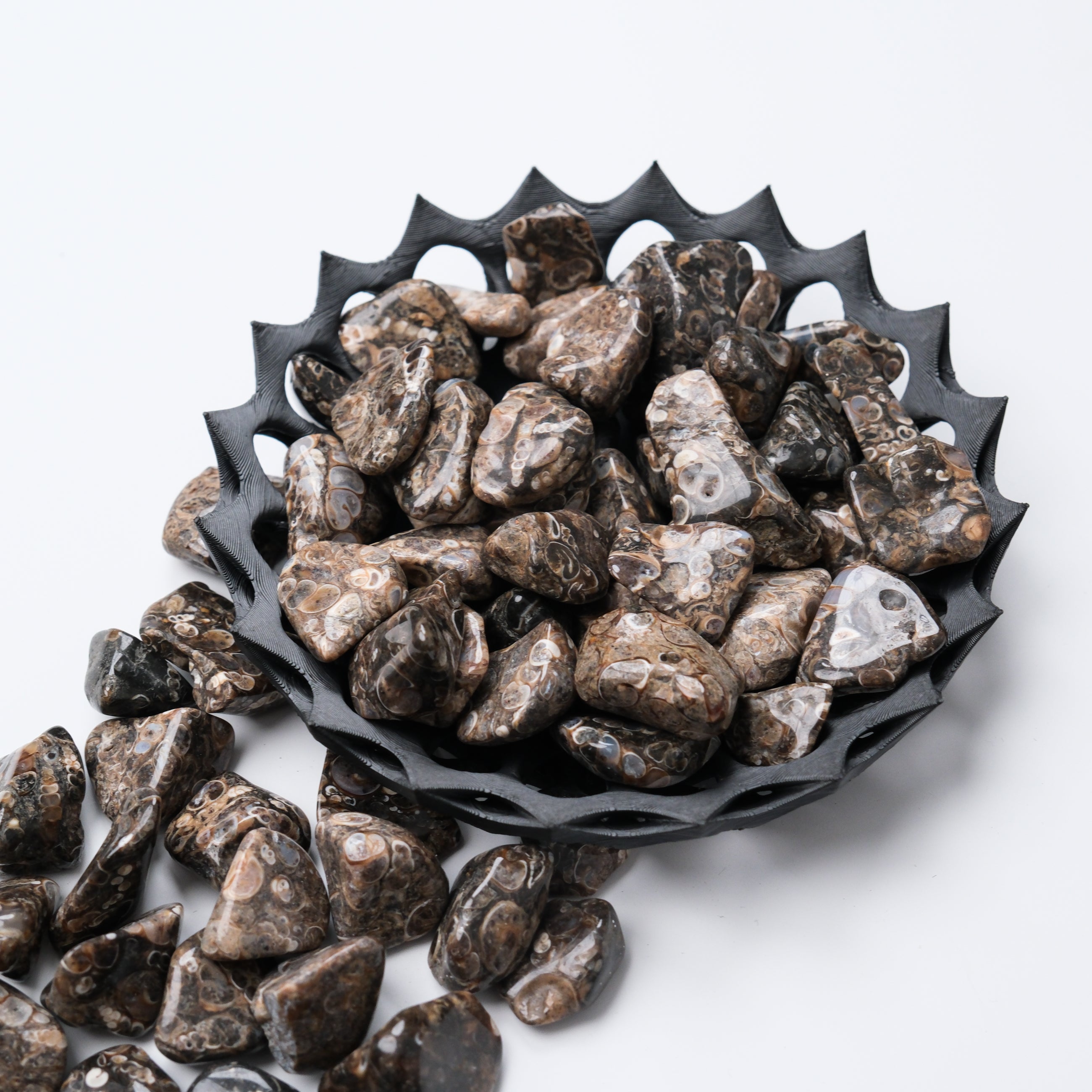 Turritella tumble stone from Noctis Studio showing polished, rounded stone with natural earthy tones and intricate shell pattern.