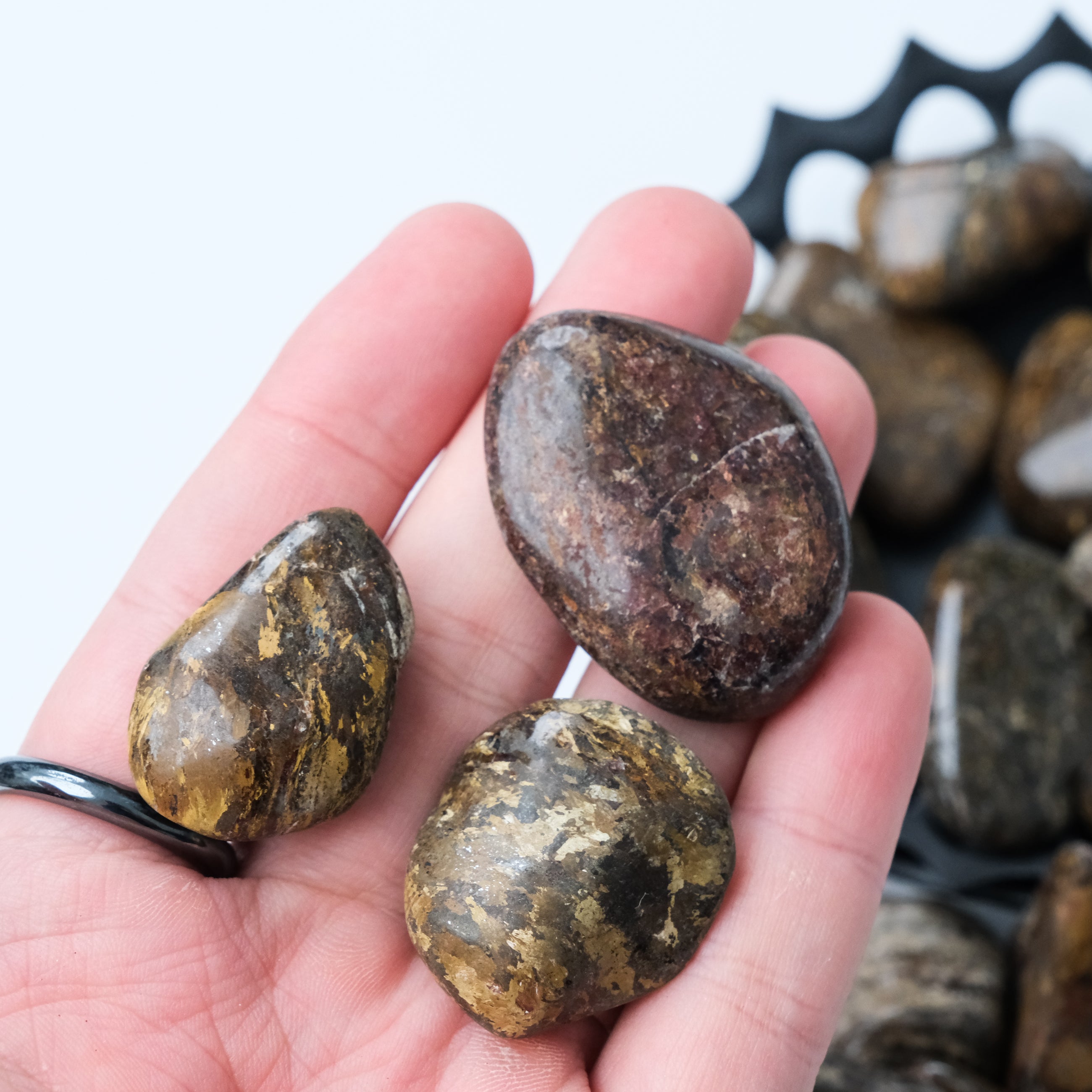 Bronzite tumble stone from Noctis Studio showing smooth, polished surface with rich bronze and brown hues.