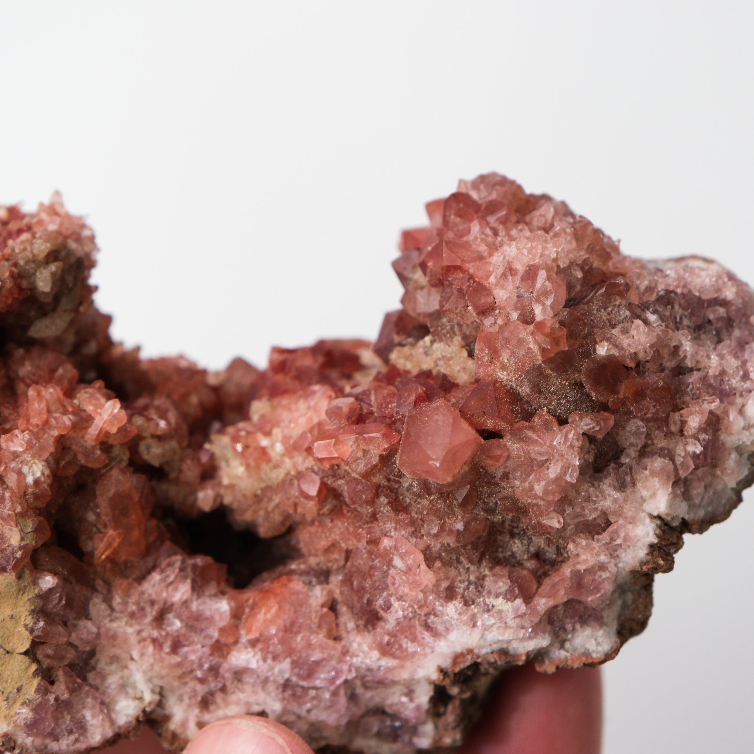 Pink Amethyst geode by Noctis Studio showing vibrant pink crystals inside a rough natural geode shell.