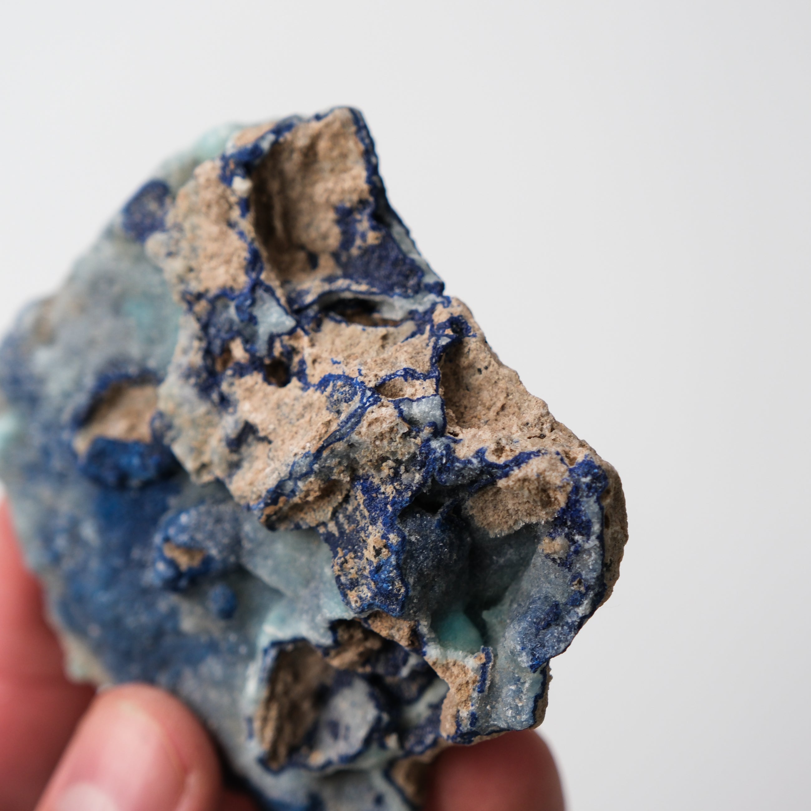 Azurite specimen from Noctis Studio showcasing deep blue mineral crystals on a neutral background.