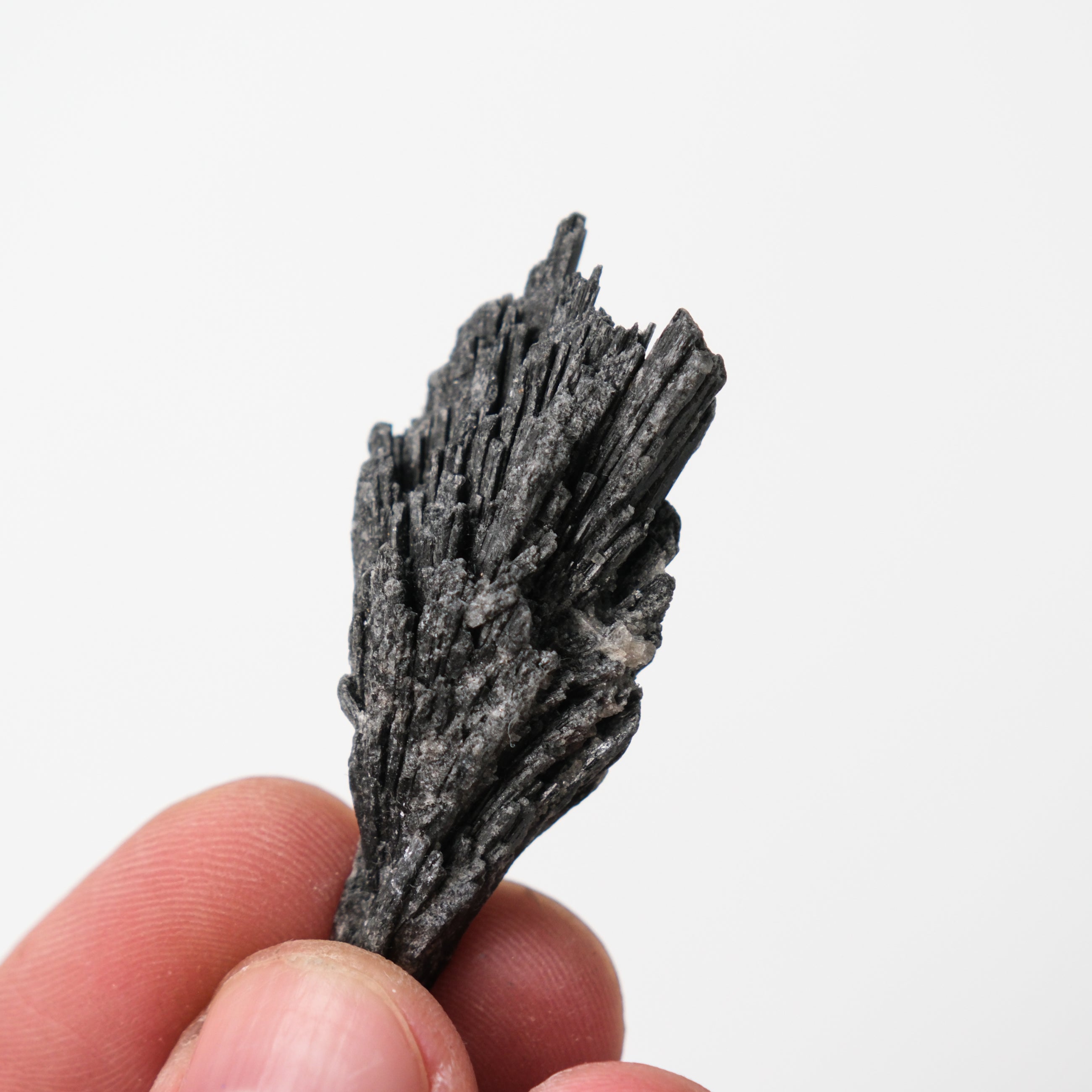 Black Kyanite specimen from Noctis Studio, showing smooth, polished black crystal with natural striations and a glossy finish.