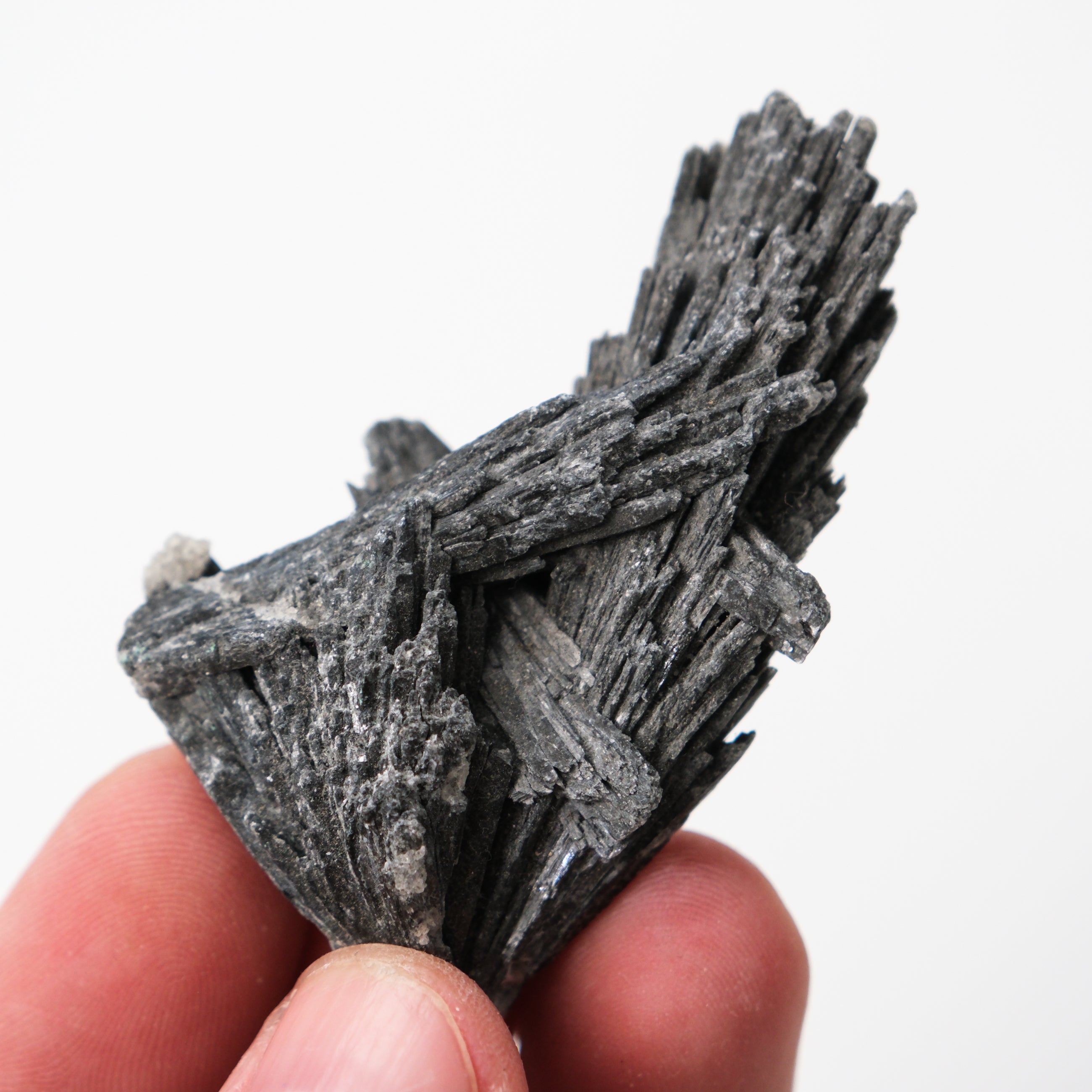 Black Kyanite specimen from Noctis Studio, showing smooth, polished black mineral with natural striations and glossy surface.
