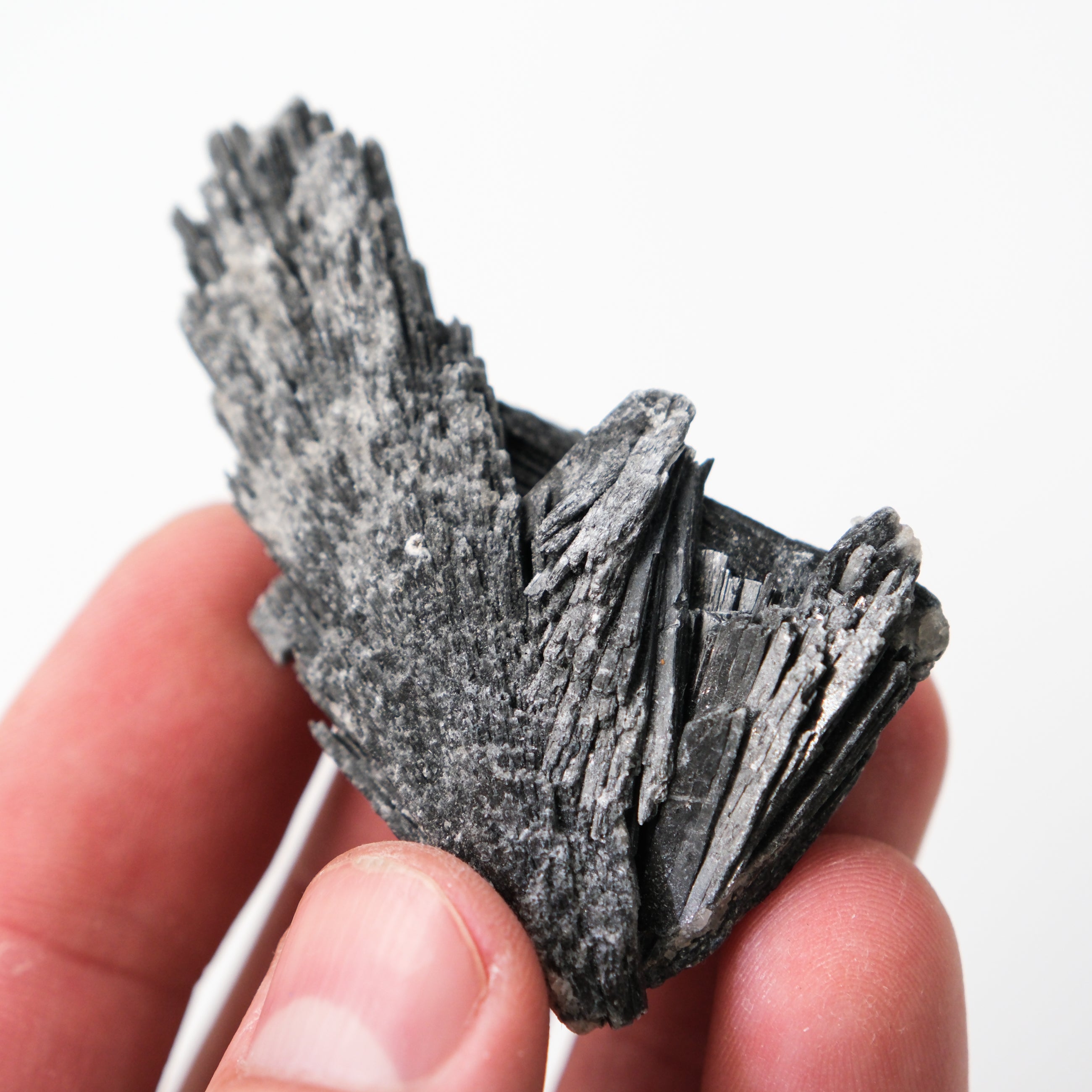 Black Kyanite specimen from Noctis Studio with polished, natural crystal formations and a smooth surface.