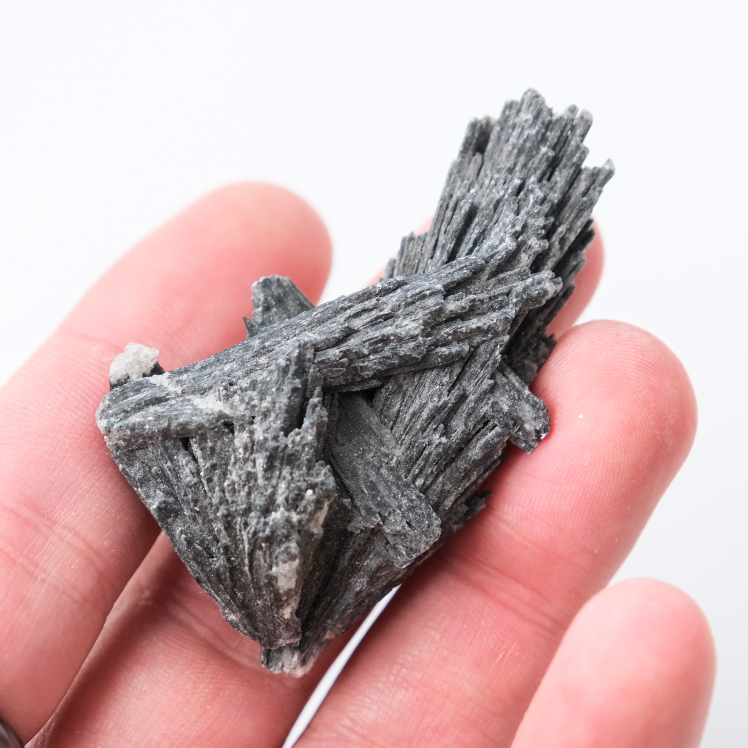 Black Kyanite specimen from Noctis Studio showing smooth, polished surface with natural striations and deep black color.