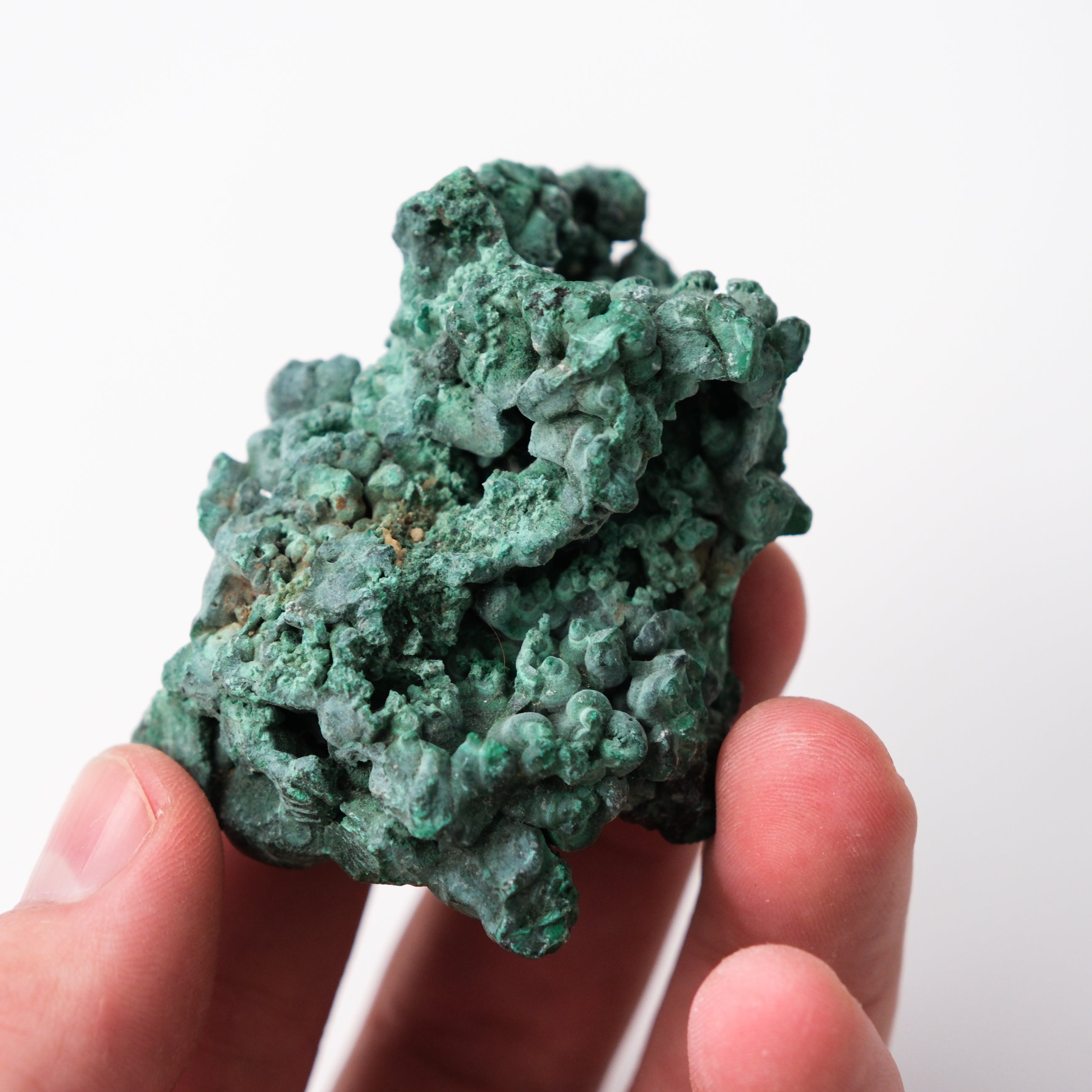 Malachite specimen showcased on display, featuring vibrant green banded mineral patterns from Noctis Studio.