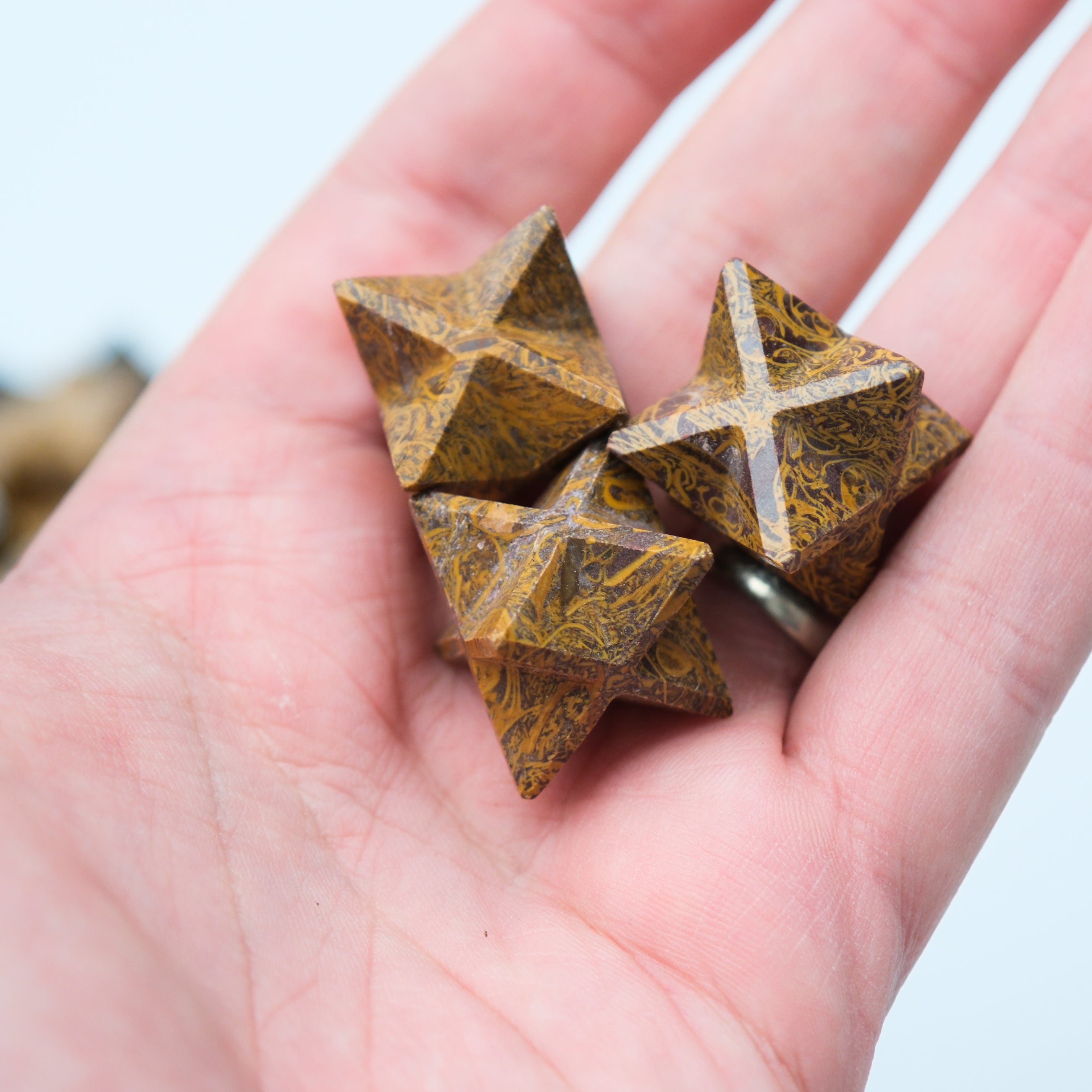 Star-shaped Snake Jasper crystal from Noctis Studio with natural brown and black patterns, showcasing its unique gemstone texture.