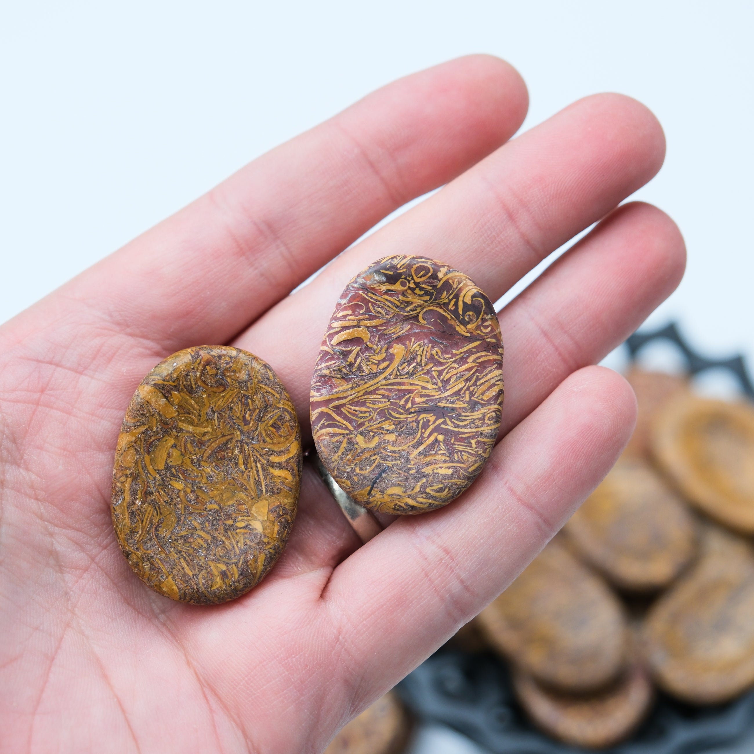 Smooth Snake Jasper worry stone from Noctis Studio, featuring polished, textured surface ideal for stress relief and meditation.