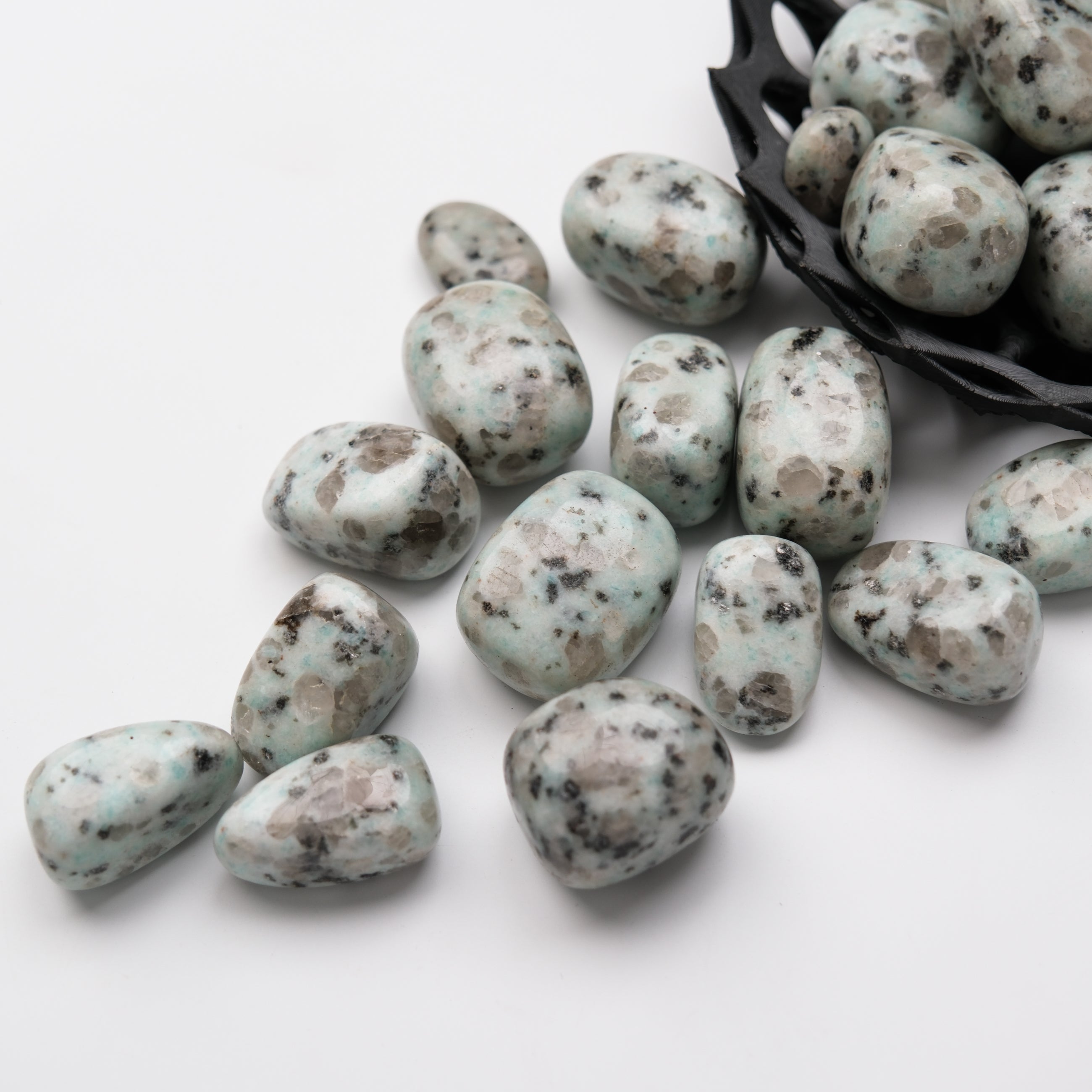 Kiwi Jasper tumble stone from Noctis Studio with vibrant green and brown patterns, polished and smooth for healing and decorative use.