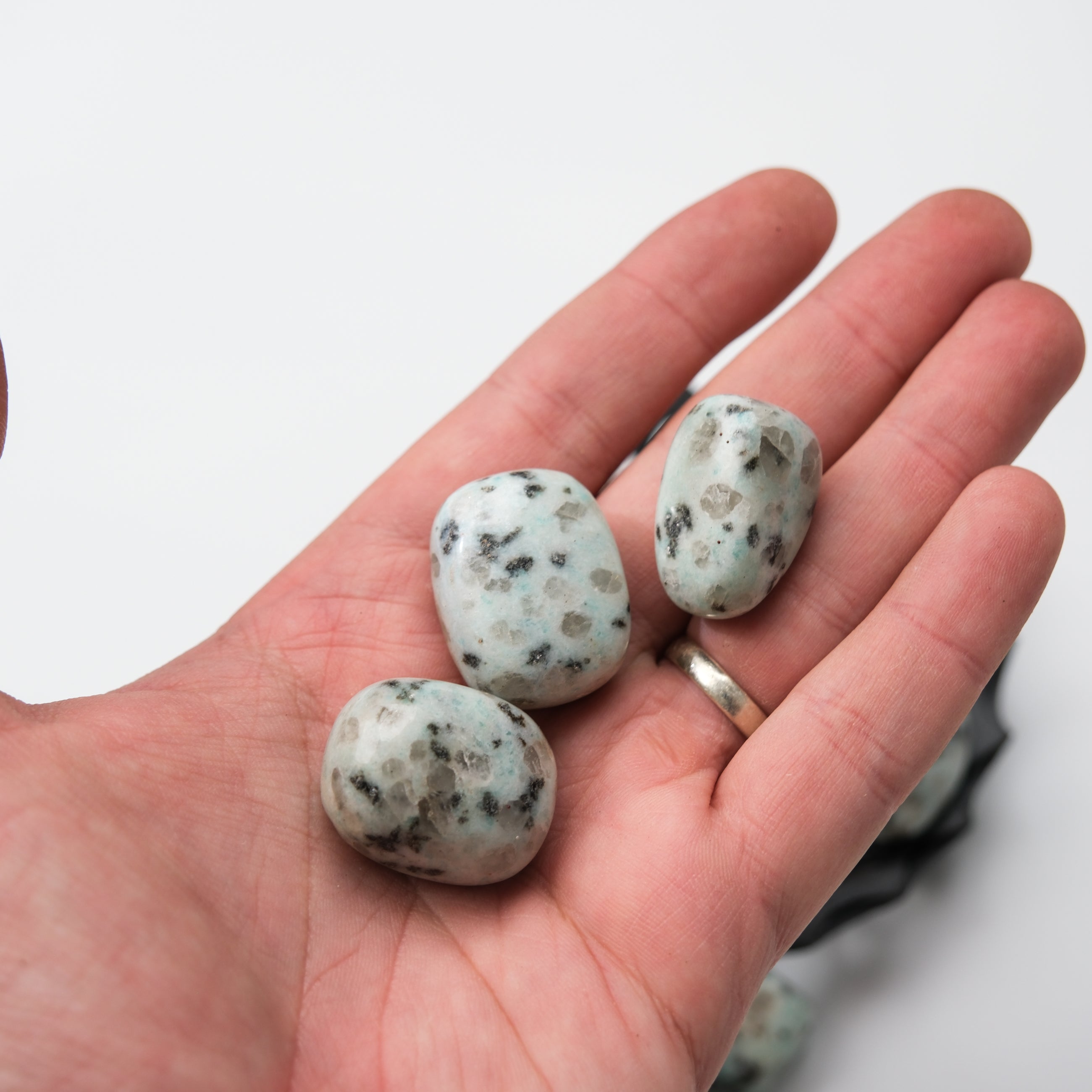 Kiwi Jasper tumble stone from Noctis Studio, showcasing vibrant green and brown mineral patterns, polished smooth for display or collection.