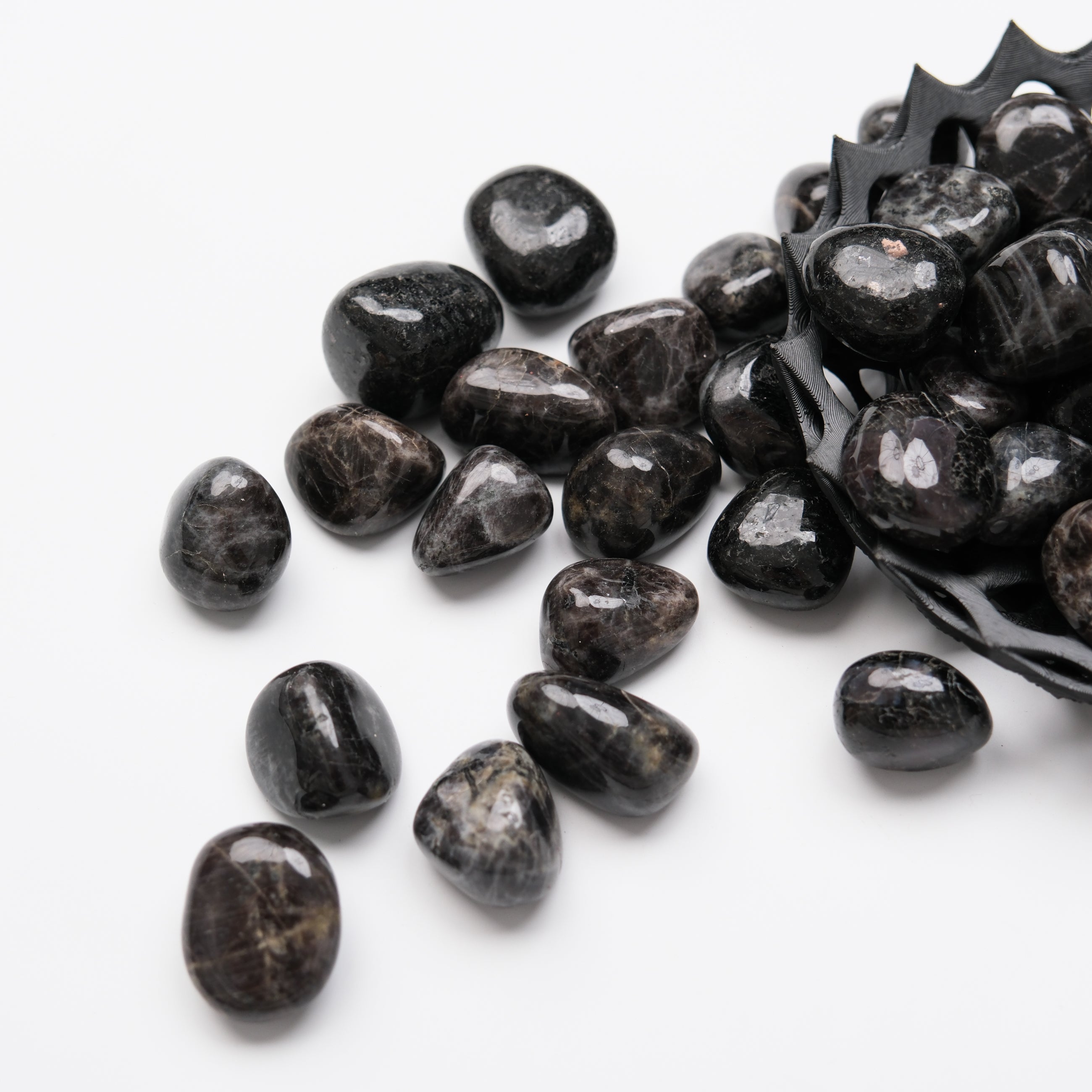 Noctis Studio Northsite Tumble Stone showing polished, smooth surface with natural earthy color and texture.
