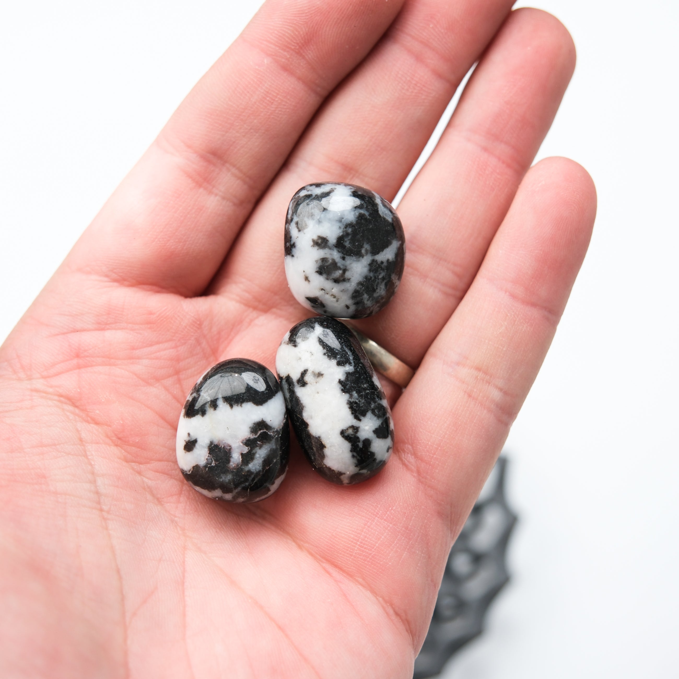 Zebra Agate tumble stone from Noctis Studio, showcasing black and white banded agate with polished smooth surface.