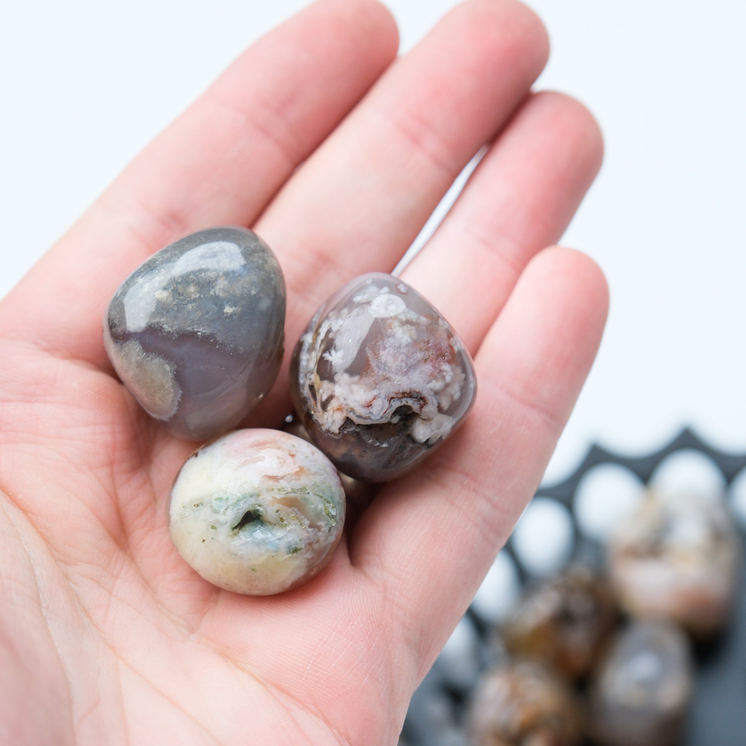 Black Flower Agate tumble stone from Noctis Studio, showcasing polished black and floral patterned agate gemstone.