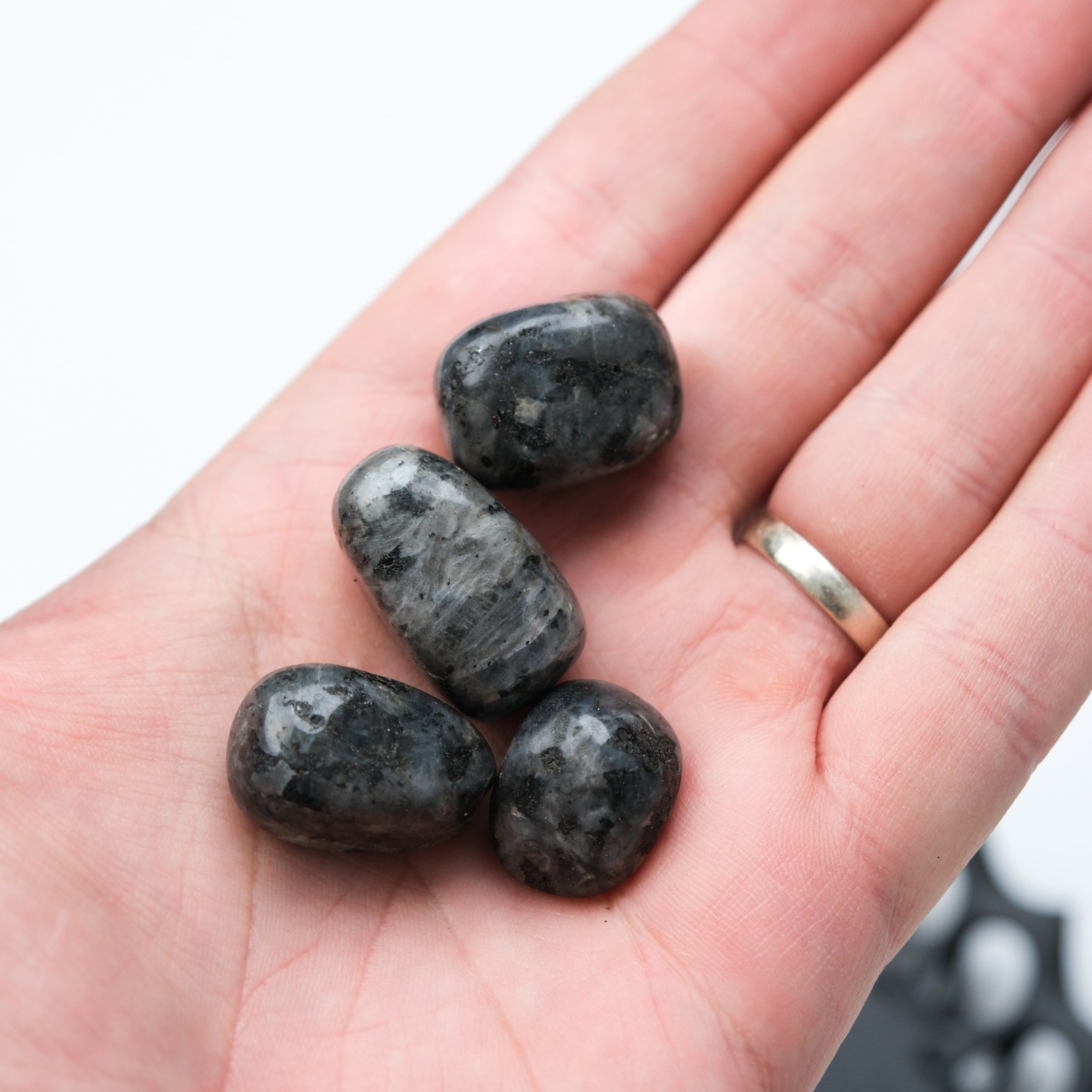 Larvikite tumble stone from Noctis Studio, polished natural gemstone with dark gray and blue flashes, showcasing its unique mineral pattern.