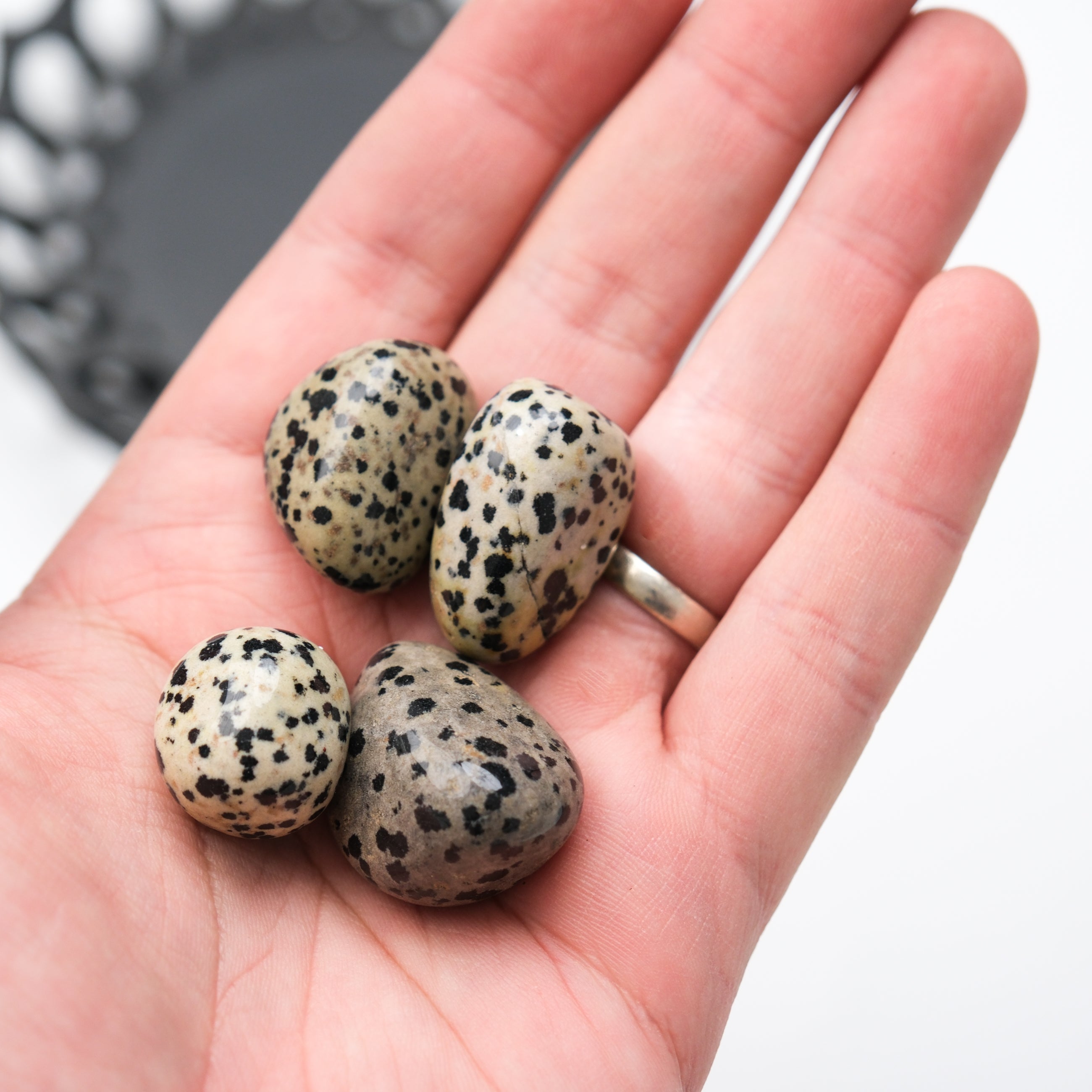 Dalmatian Jasper tumble stone from Noctis Studio showing black spots on a creamy beige background, polished and smooth.