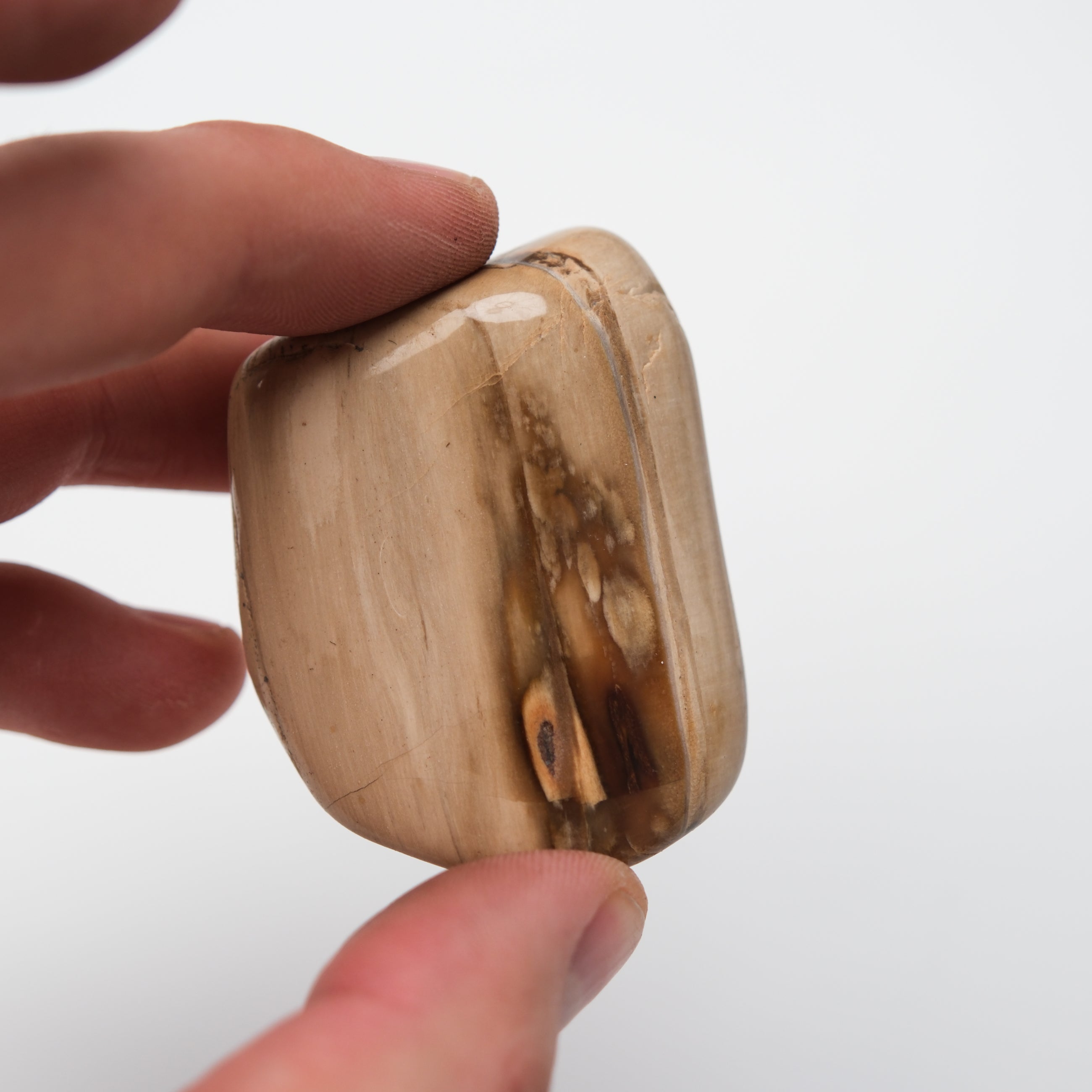 Peanut Wood Stone tumble stone from Noctis Studio showing smooth, polished natural wood and stone textures in a close-up image.