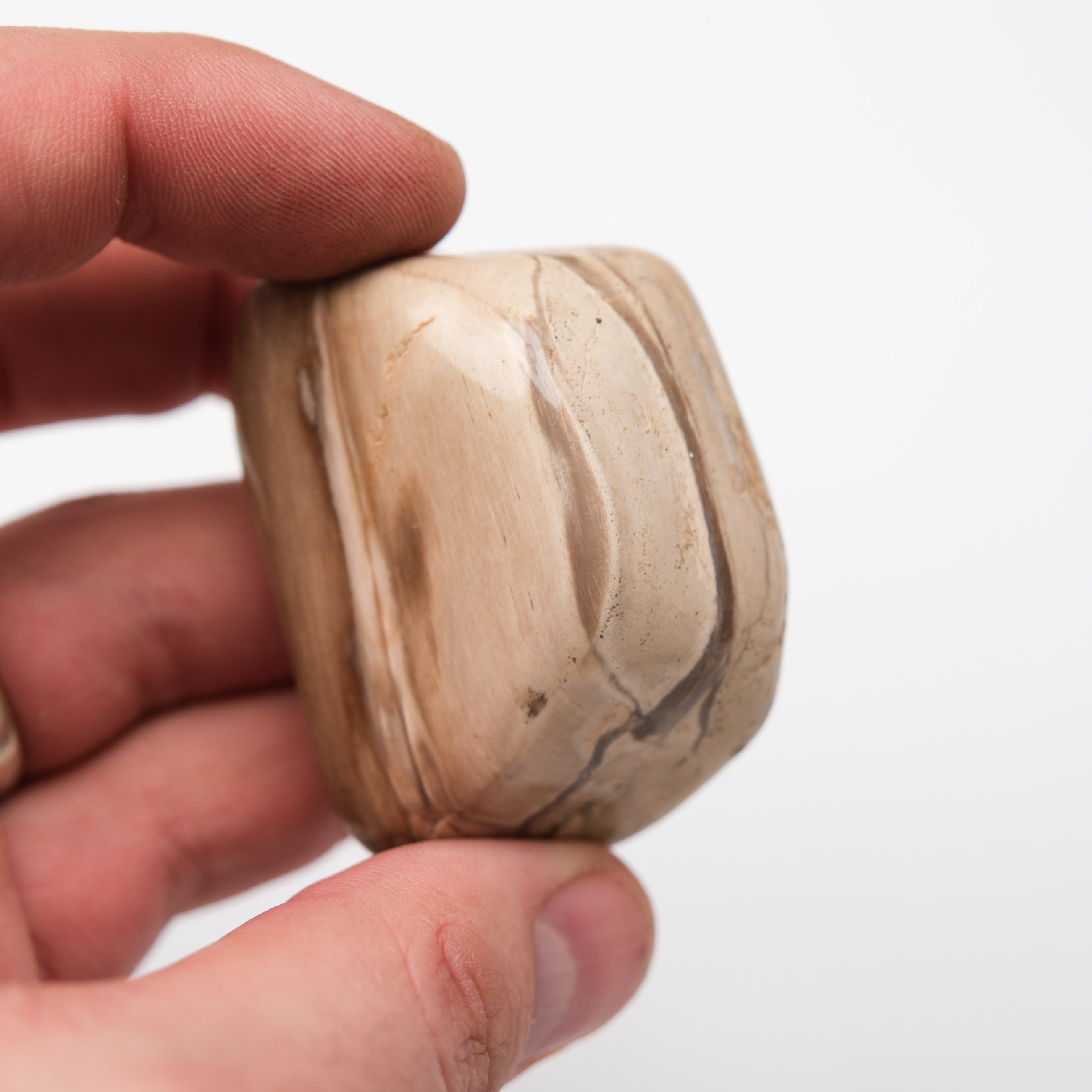 Peanut Wood Stone tumble stone from Noctis Studio, smooth polished natural wood and stone blend with warm earthy tones.