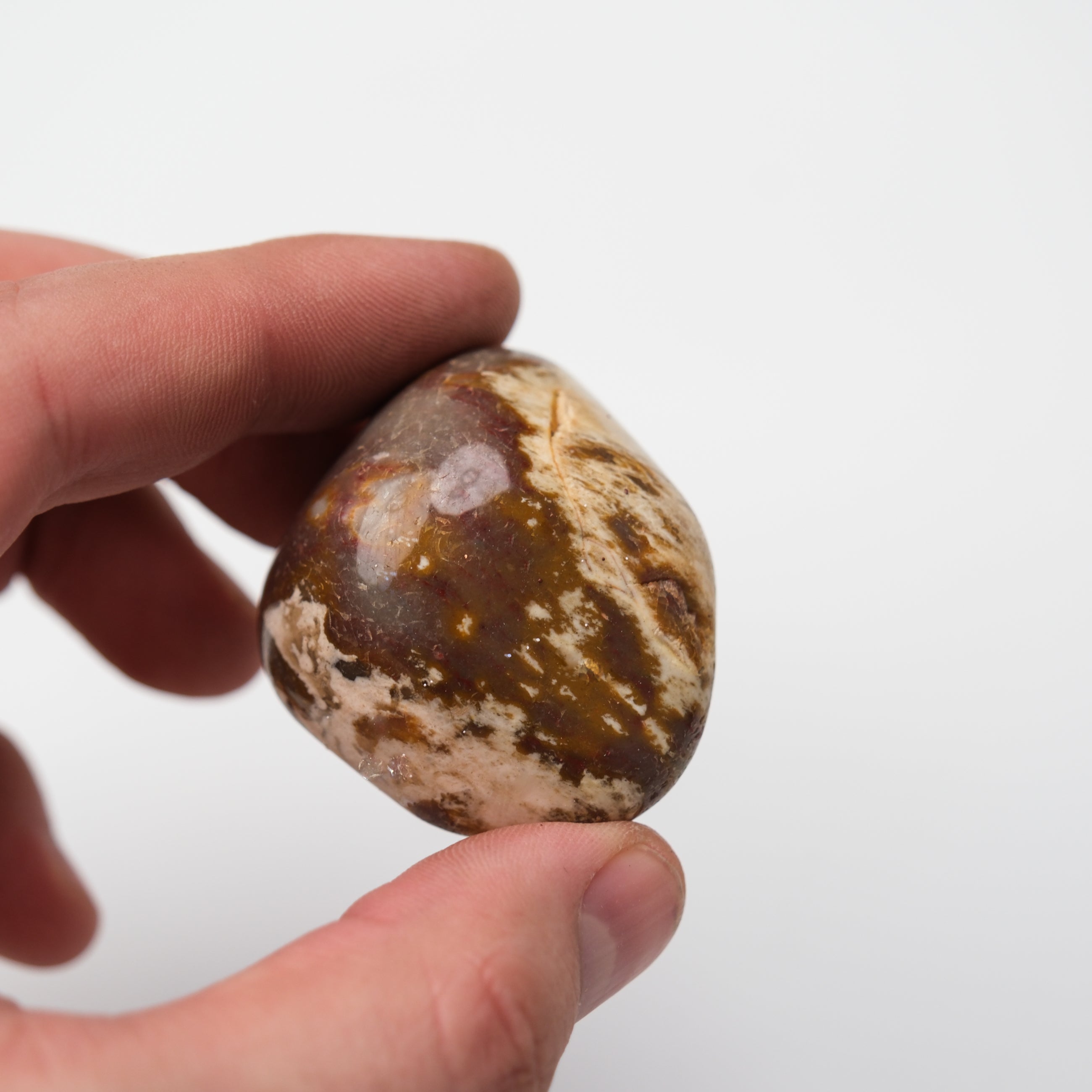 Peanut Wood Stone tumble stone by Noctis Studio showing smooth, polished wood and stone textures in a natural shape.