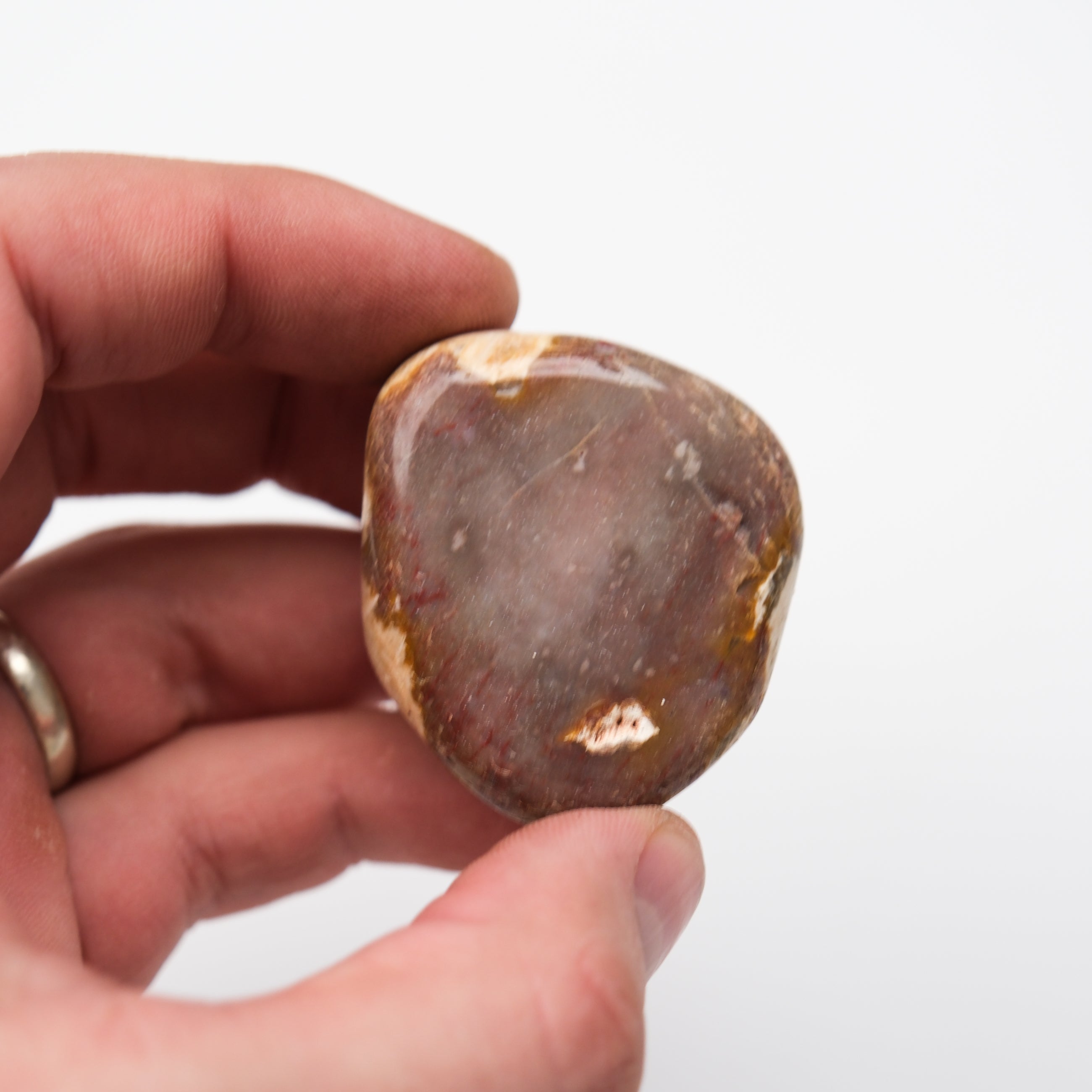Smooth peanut-shaped wooden tumble stone from Noctis Studio, showcasing natural wood grain and polished finish.