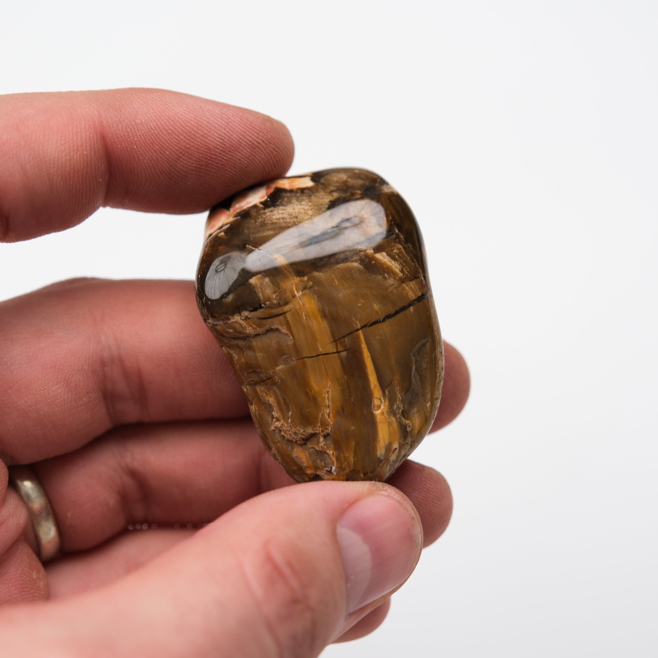Peanut Wood Stone tumble stone from Noctis Studio, showcasing a smooth, polished natural wood and stone blend with earthy tones.