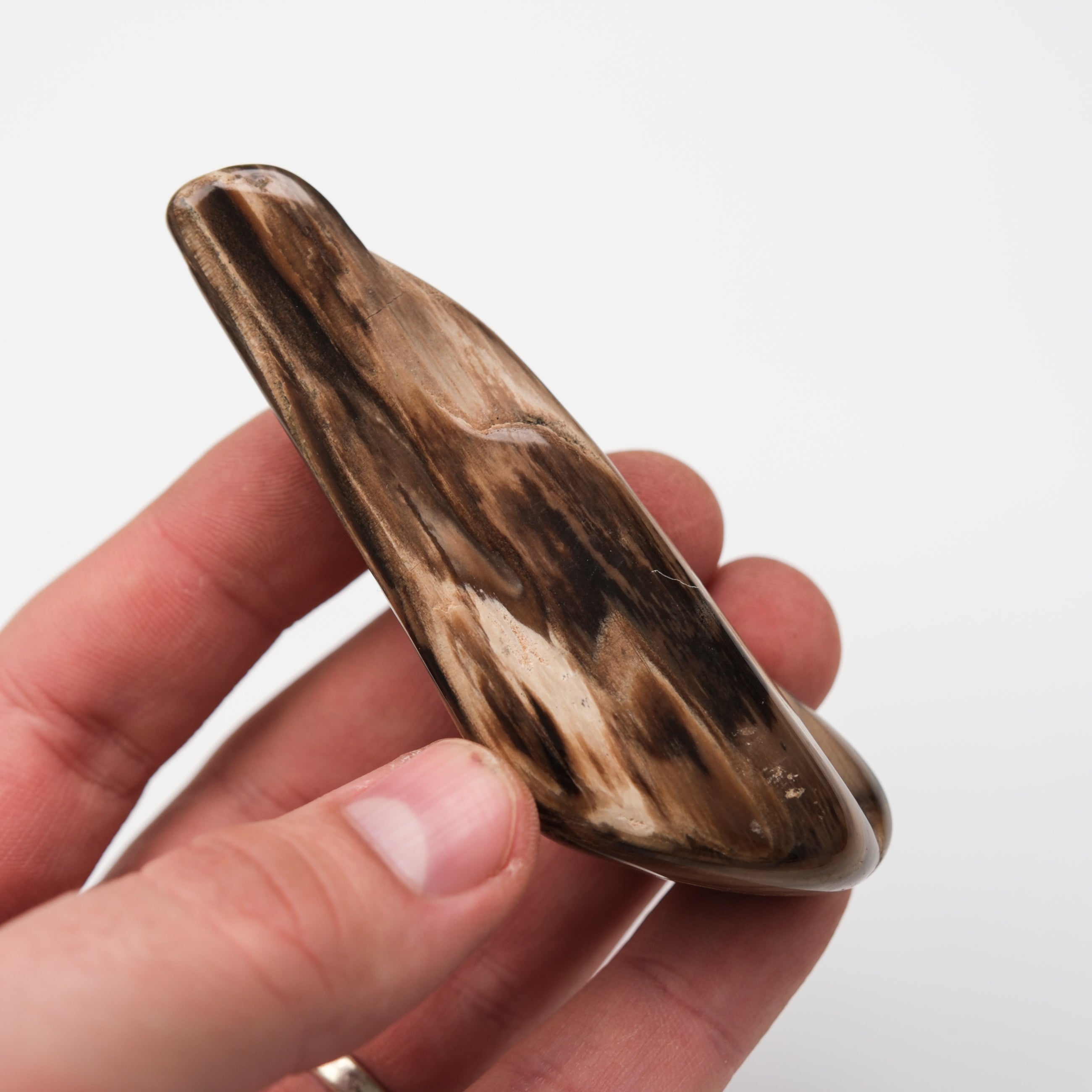 Peanut Wood Stone tumble stone from Noctis Studio, showing smooth, rounded wooden and stone textures in natural colors.