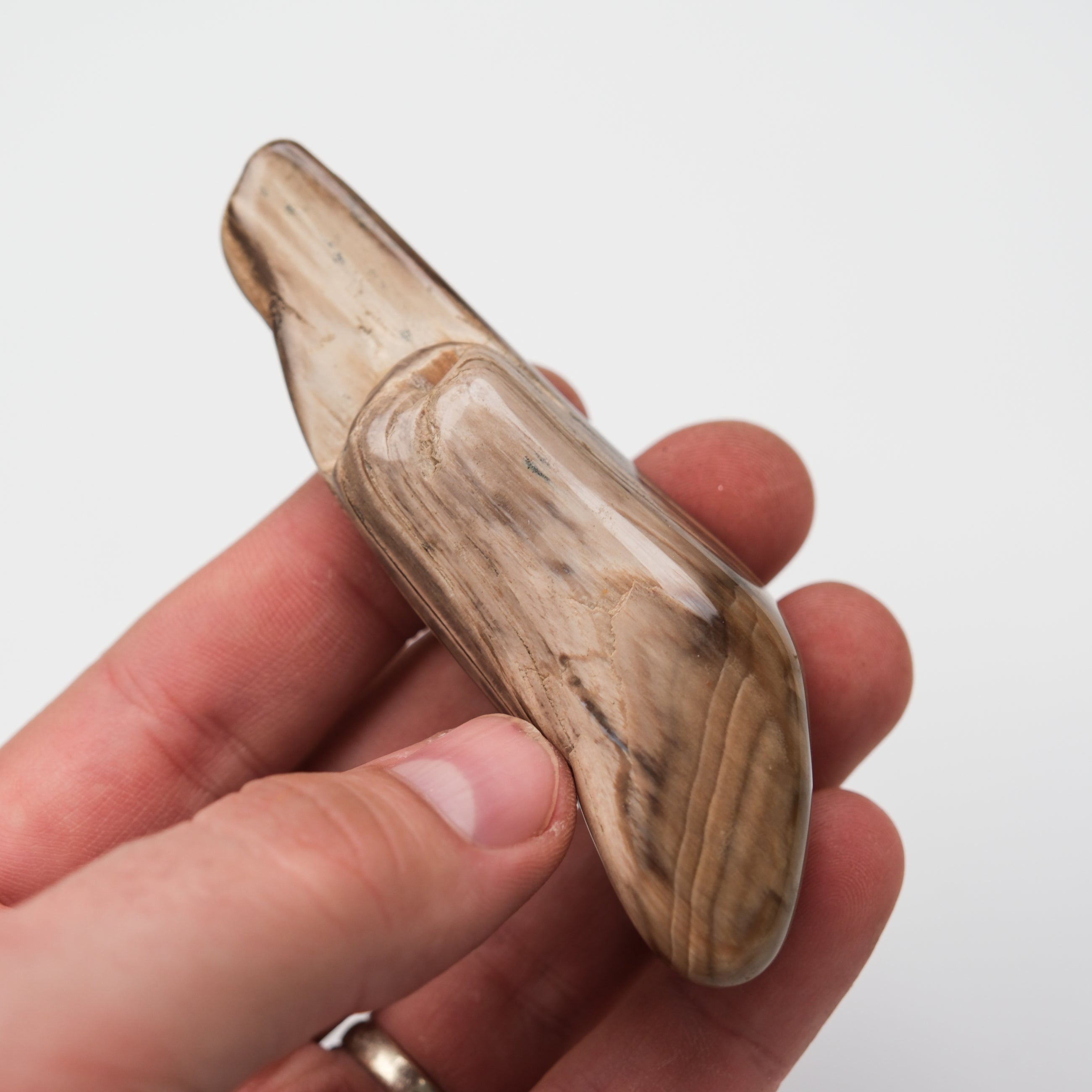 Peanut Wood Stone tumble stone by Noctis Studio showing smooth, polished wooden-textured surface with natural brown color.