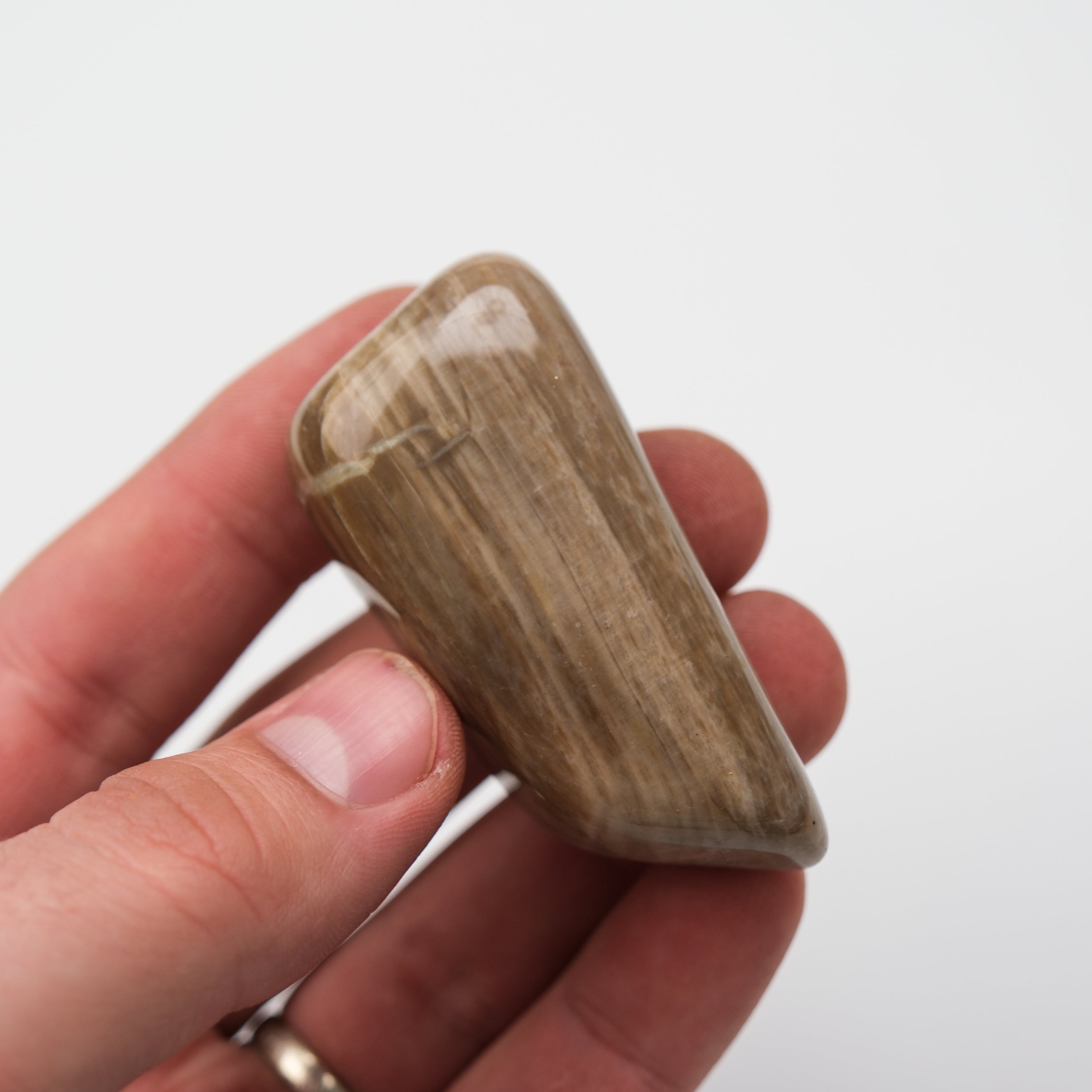 Peanut Wood Stone tumble stone by Noctis Studio, smooth polished natural wood and stone mix in a rounded shape.