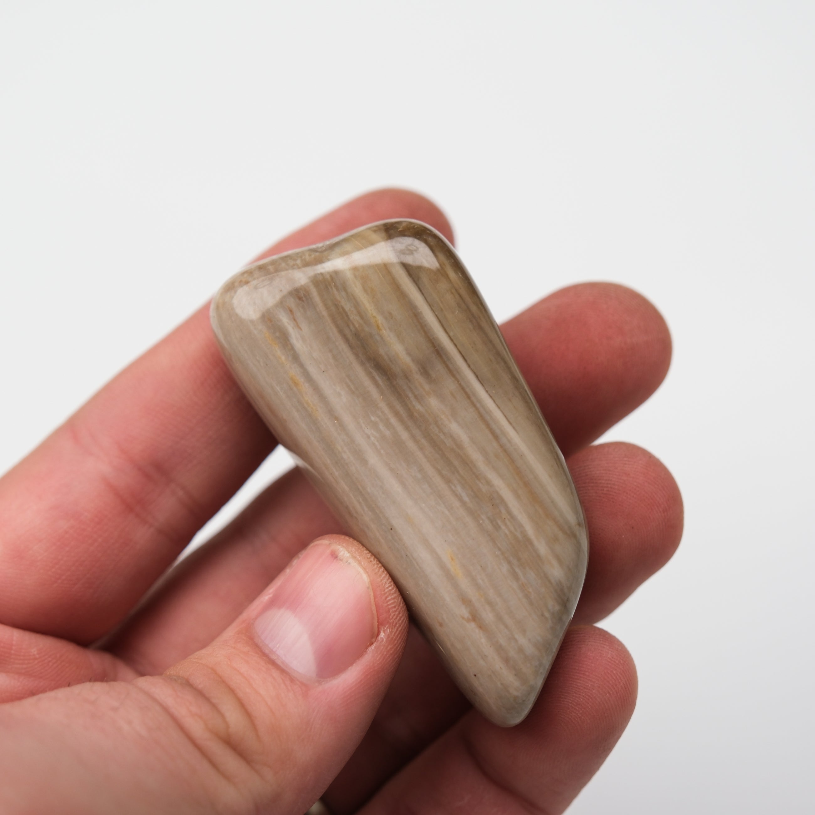 Peanut Wood Stone tumble stone from Noctis Studio, smooth natural wooden-textured mineral specimen on a neutral background.