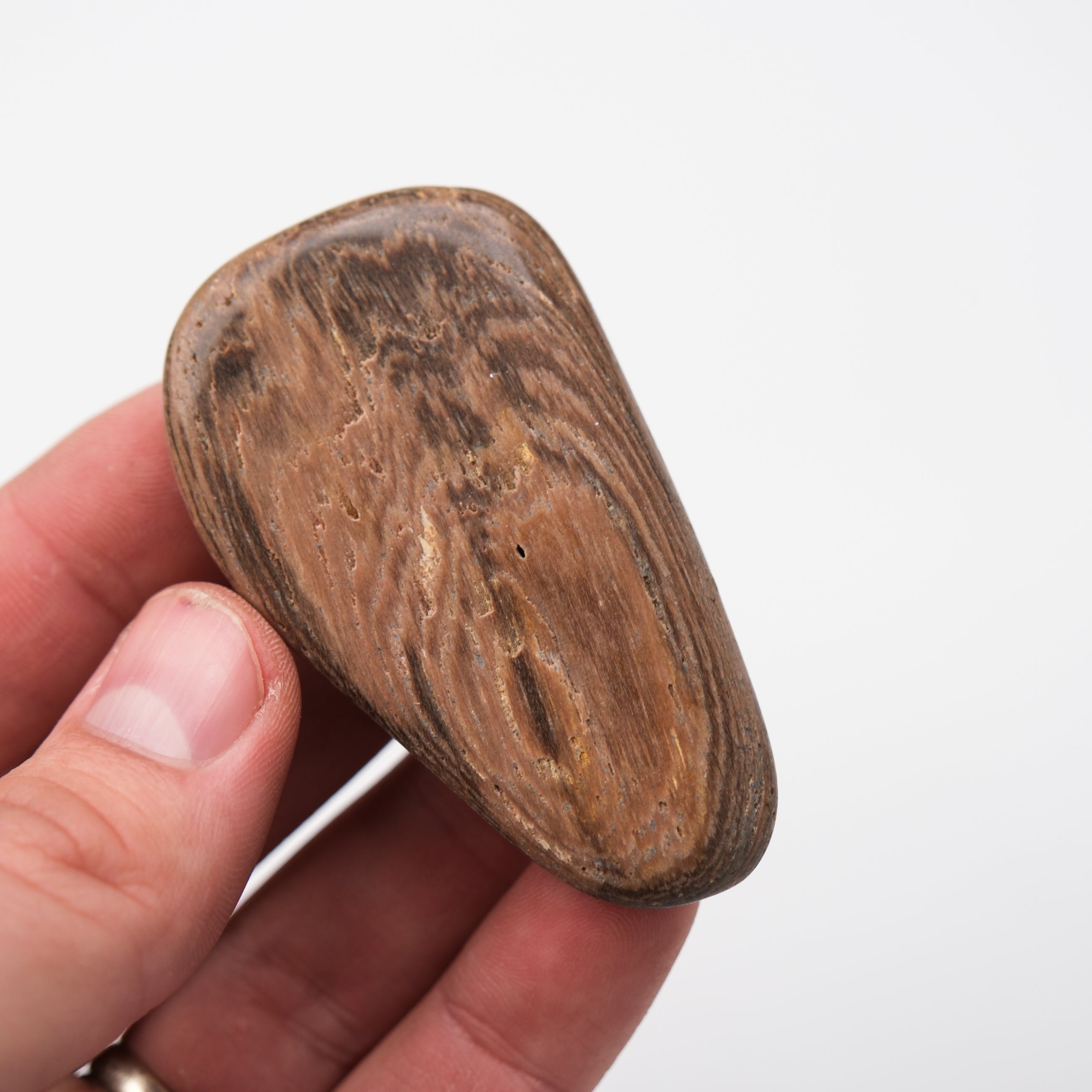 Noctis Studio Peanut Wood Stone tumble stone with smooth, polished surface and natural wood-like appearance.