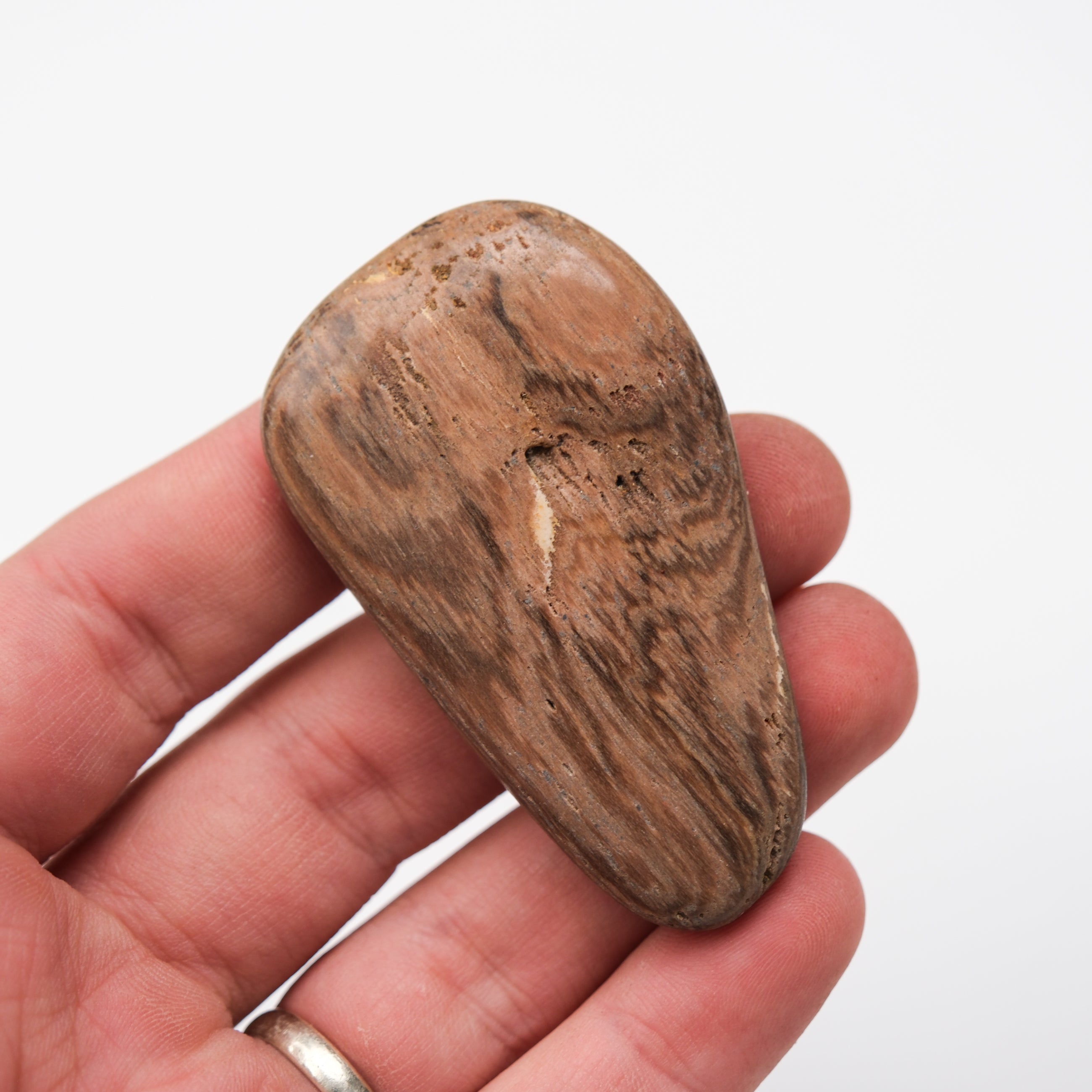 Peanut Wood Stone tumble stone from Noctis Studio, smooth polished wood and stone with a natural peanut shape and earthy tones.