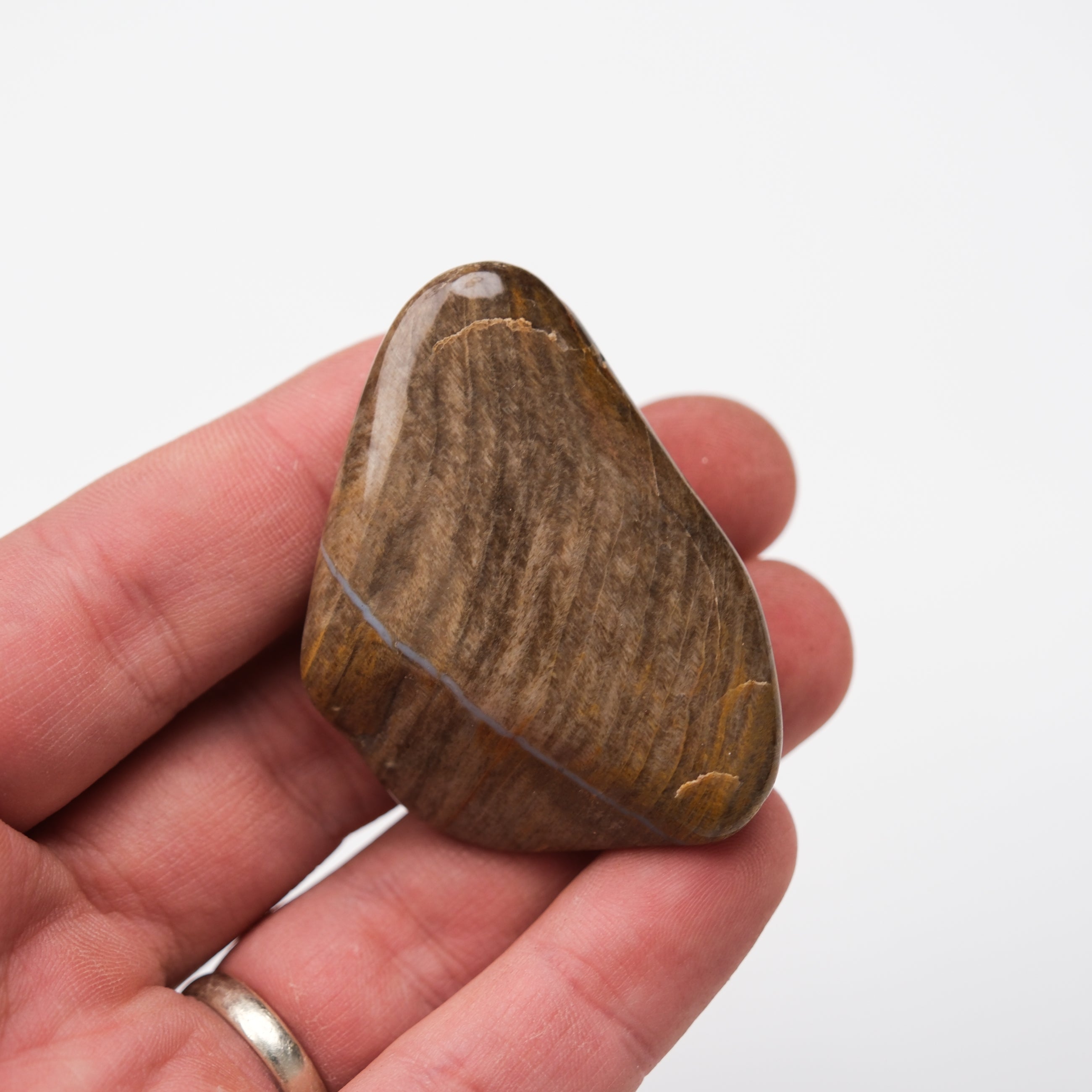 Noctis Studio Peanut Wood Tumble Stone with smooth, polished surface and natural wood and stone pattern.