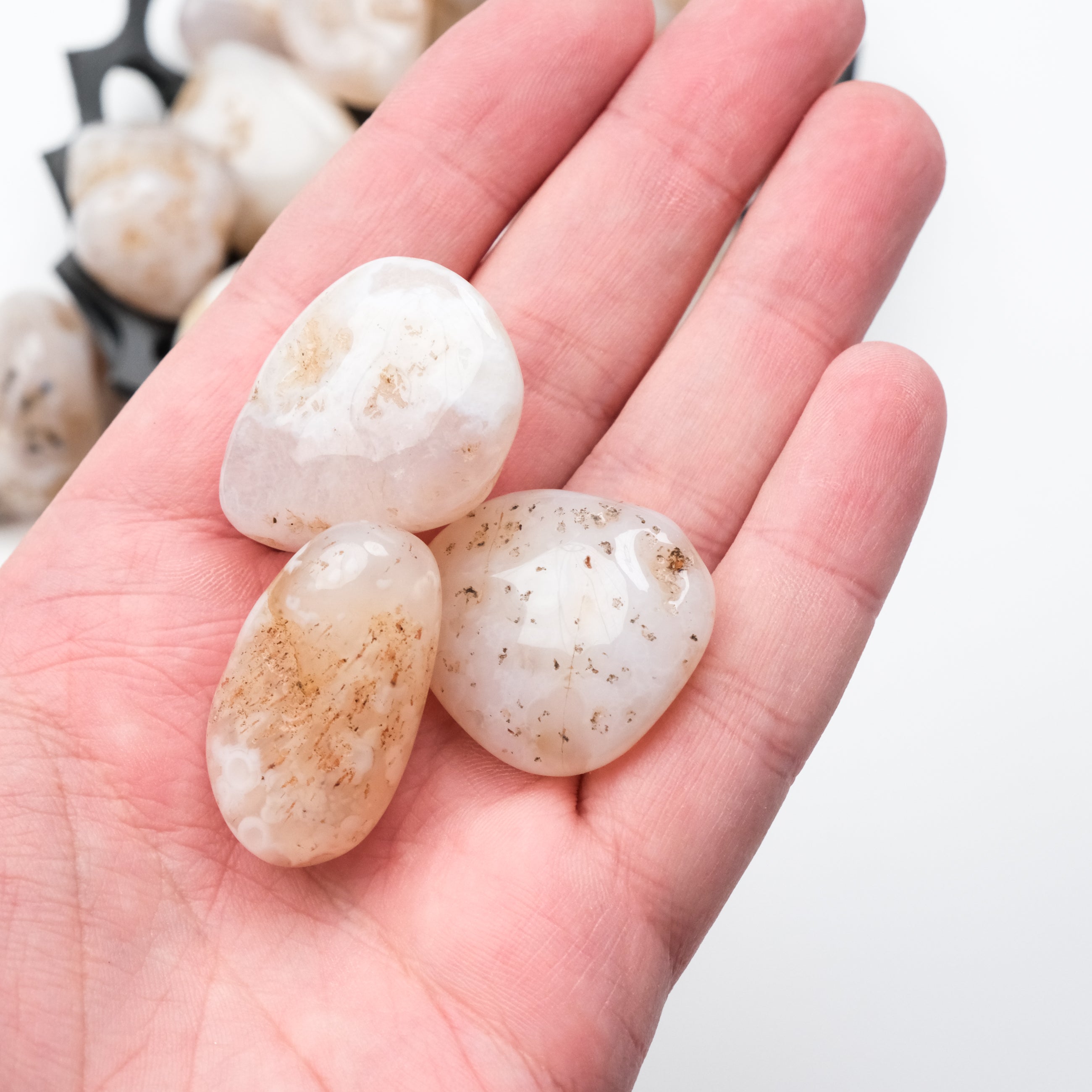 Dendrictic Agate Tumble Stone - Noctis Studio Crystal and Stone Perth