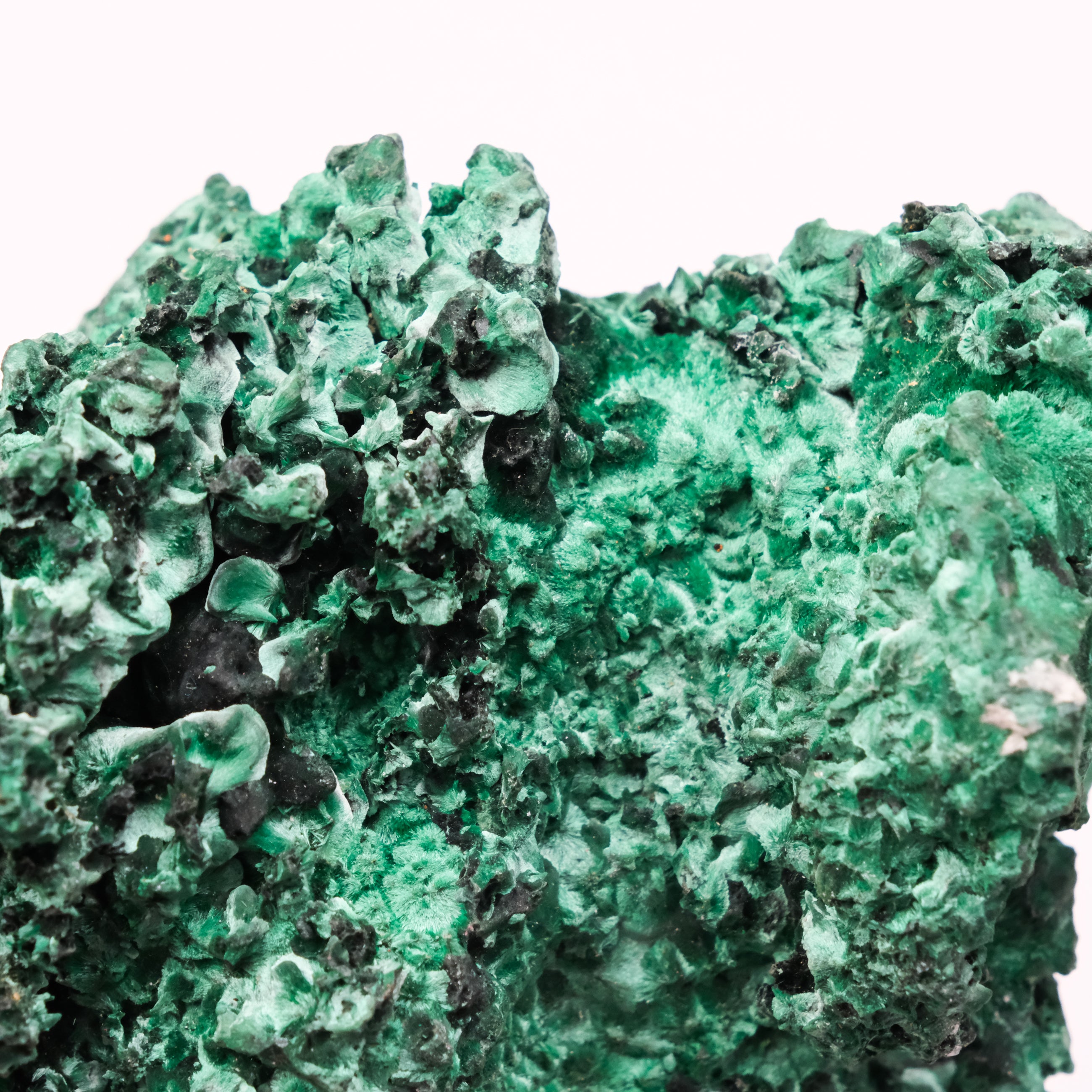 Malachite Specimen - Noctis Studio Crystal and Stone Perth