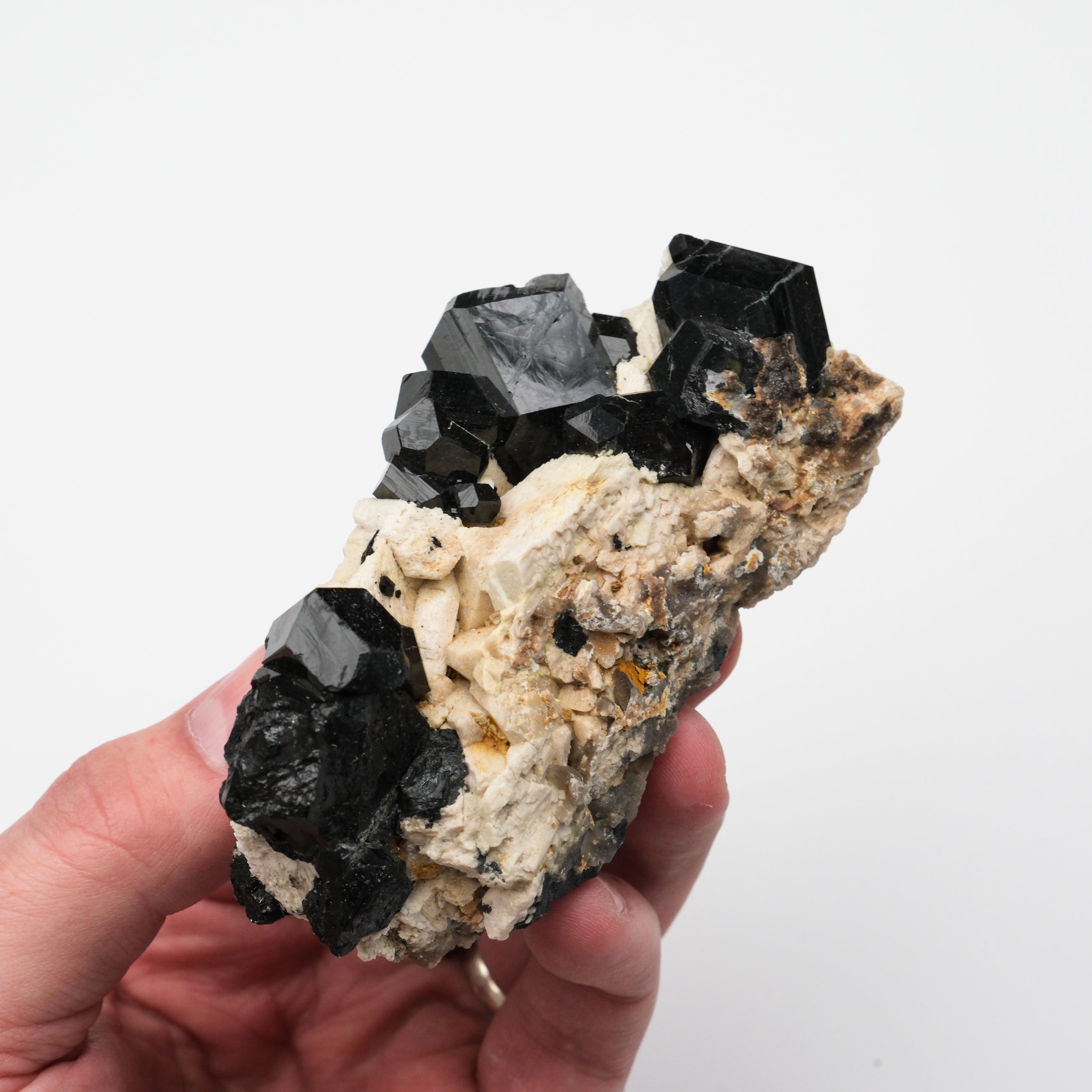 Black Tourmaline Specimen - Noctis Studio Crystal and Stone Perth