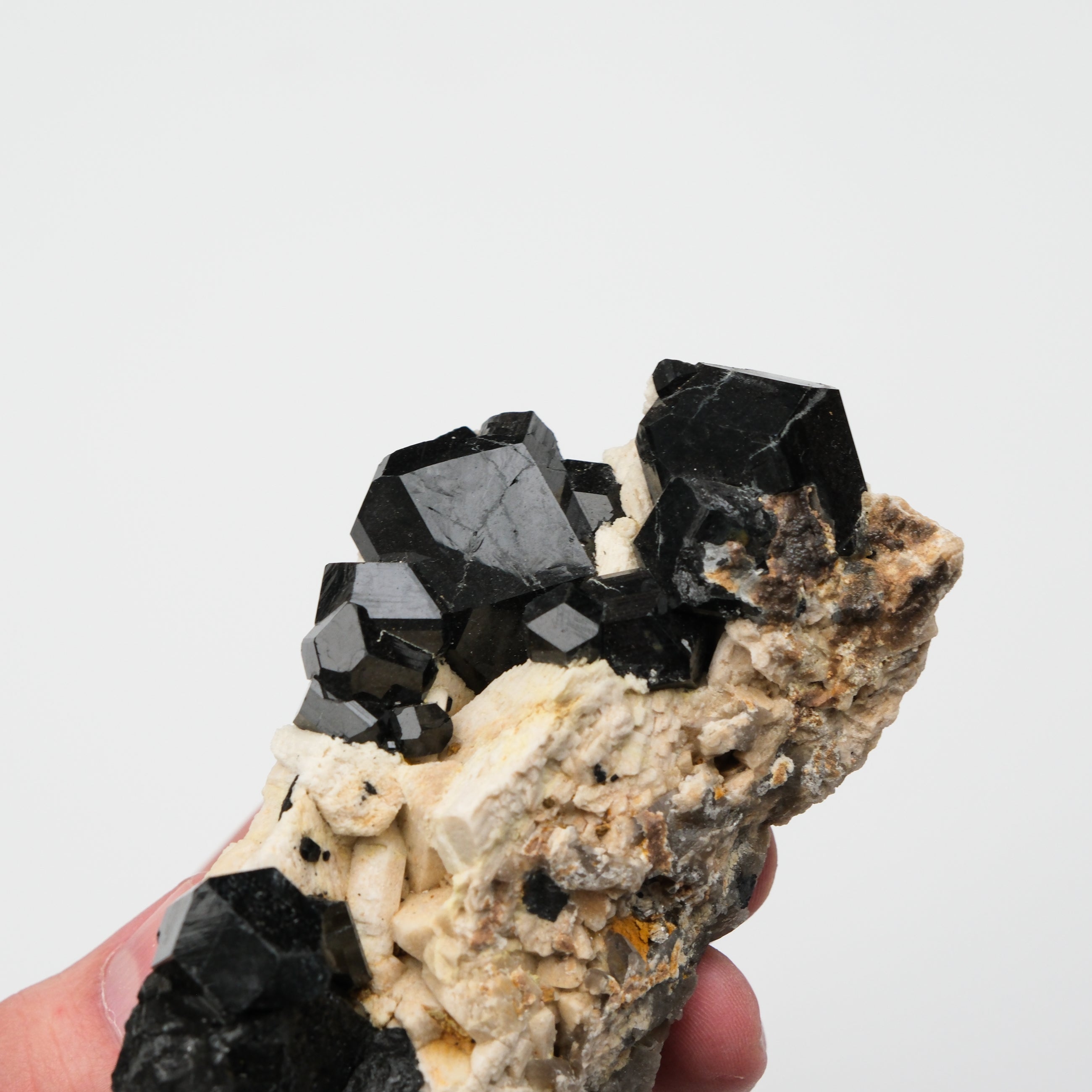 Black Tourmaline Specimen - Noctis Studio Crystal and Stone Perth