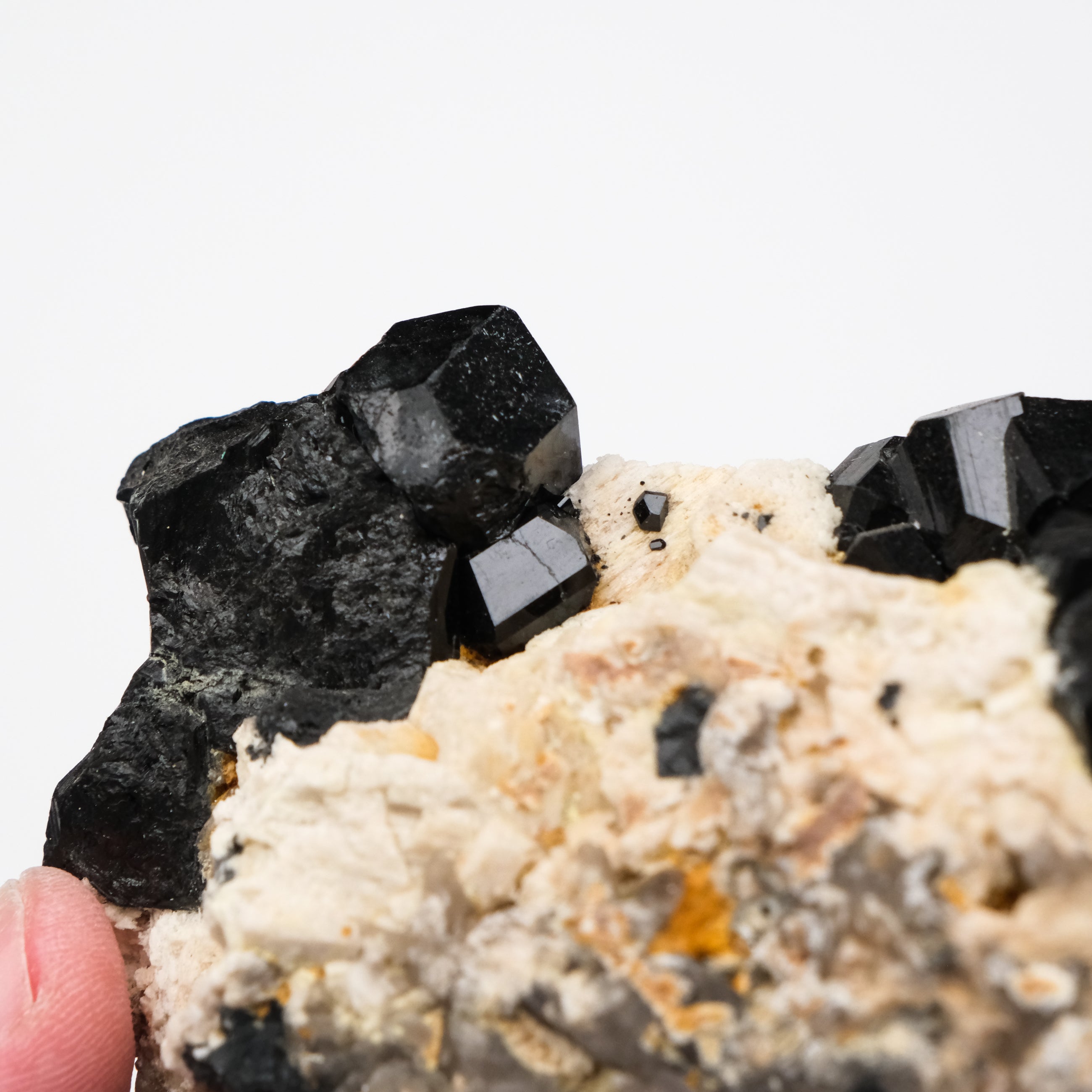 Black Tourmaline Specimen - Noctis Studio Crystal and Stone Perth