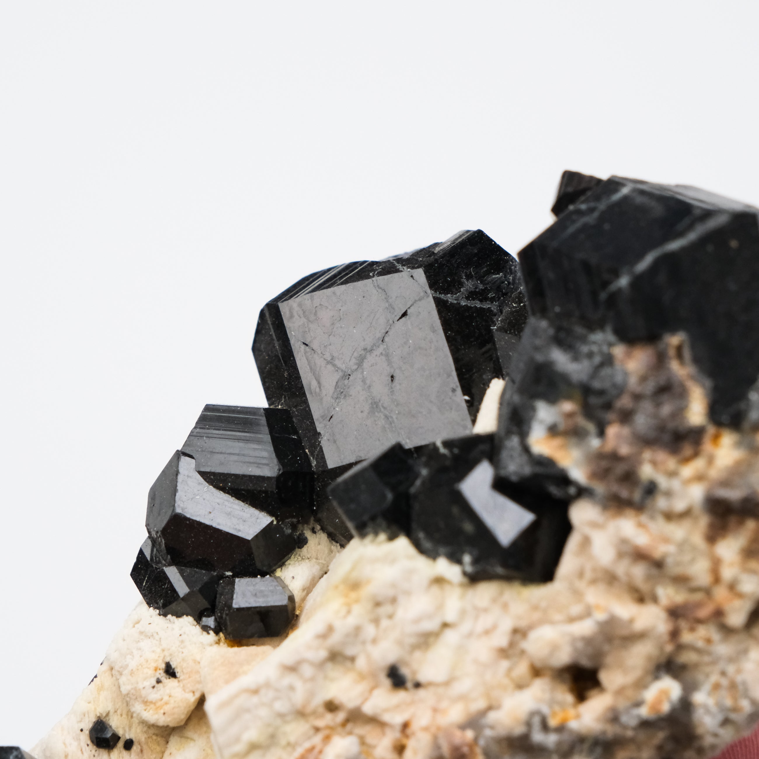 Black Tourmaline Specimen - Noctis Studio Crystal and Stone Perth