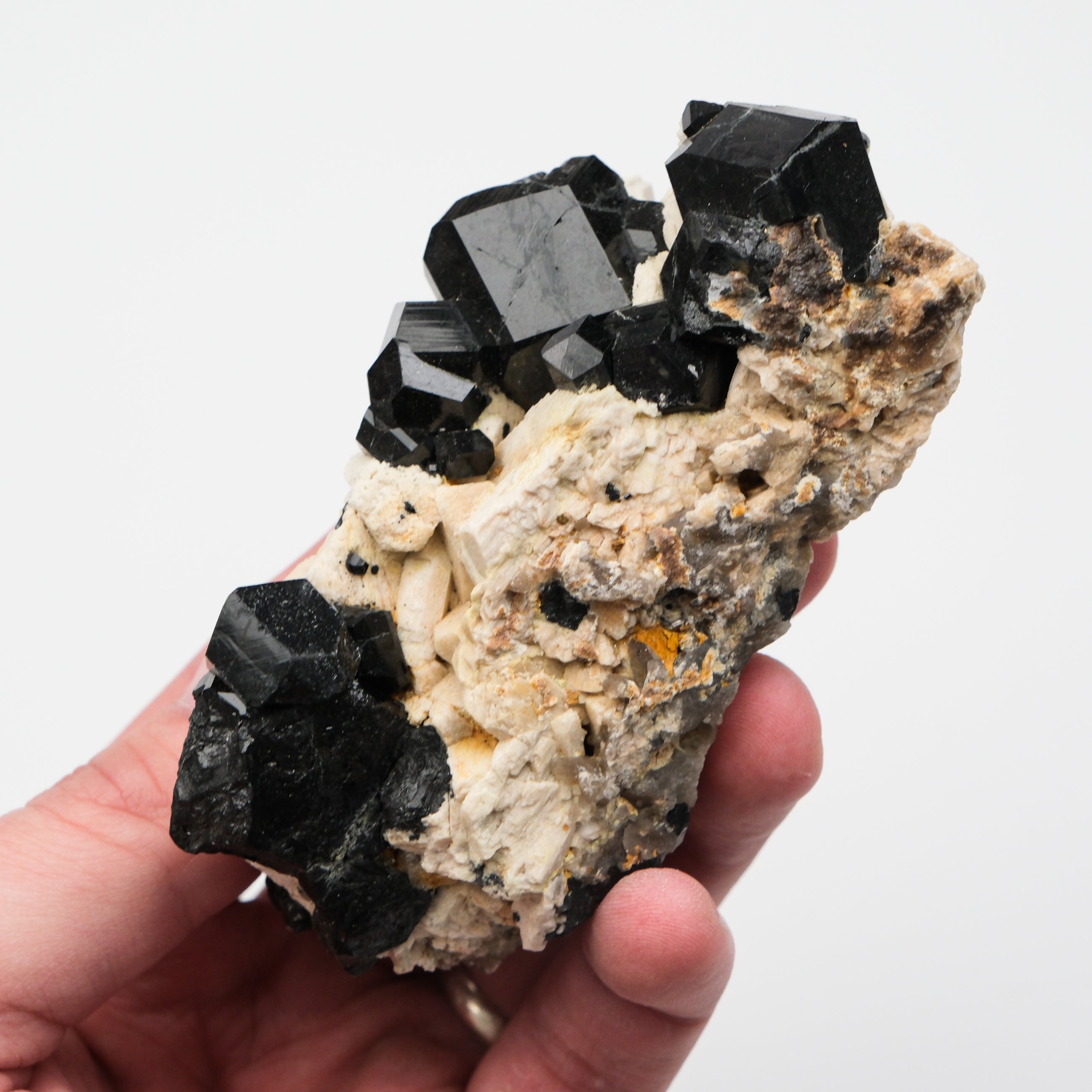 Black Tourmaline Specimen - Noctis Studio Crystal and Stone Perth