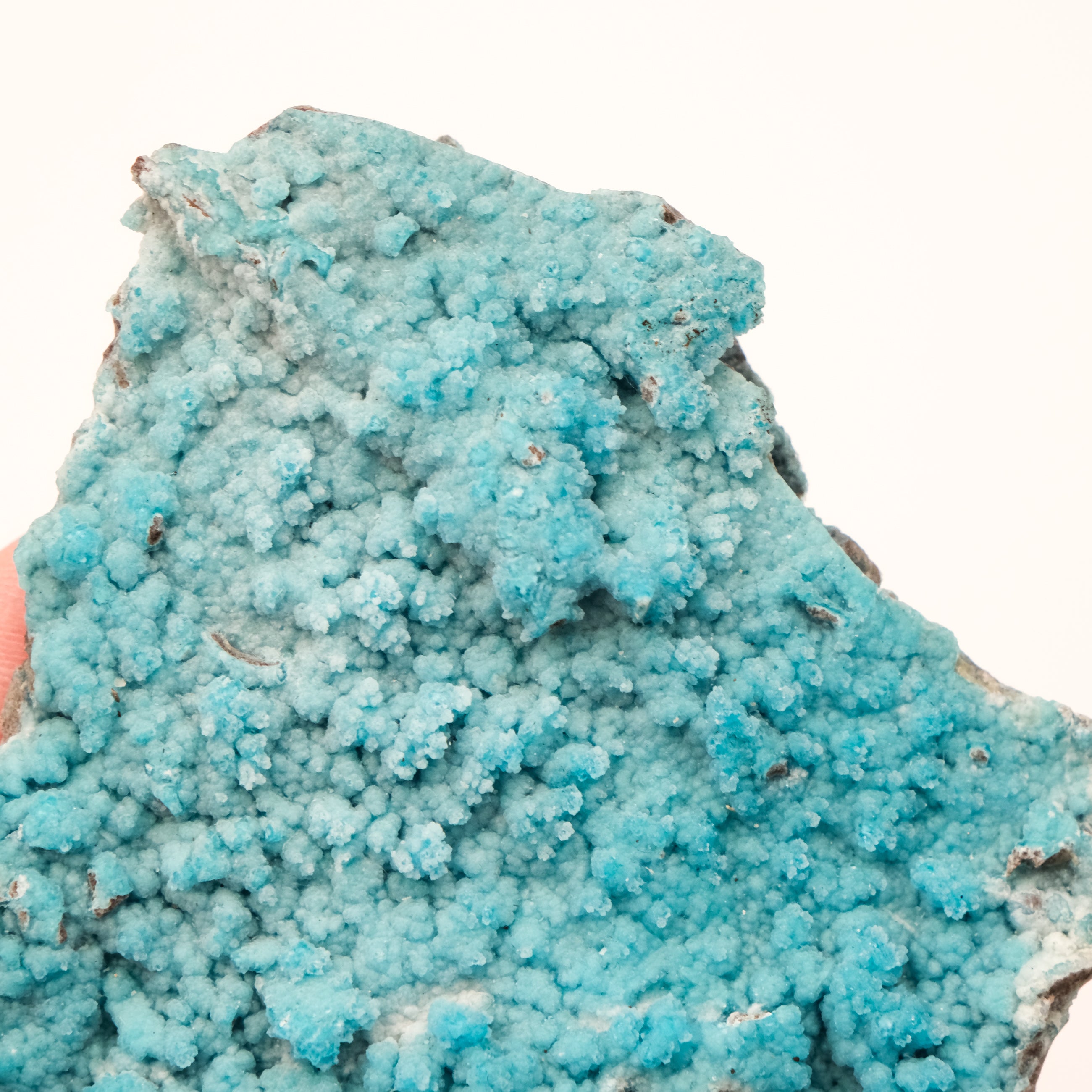 Allophane Specimen - Noctis Studio Crystal and Stone Perth
