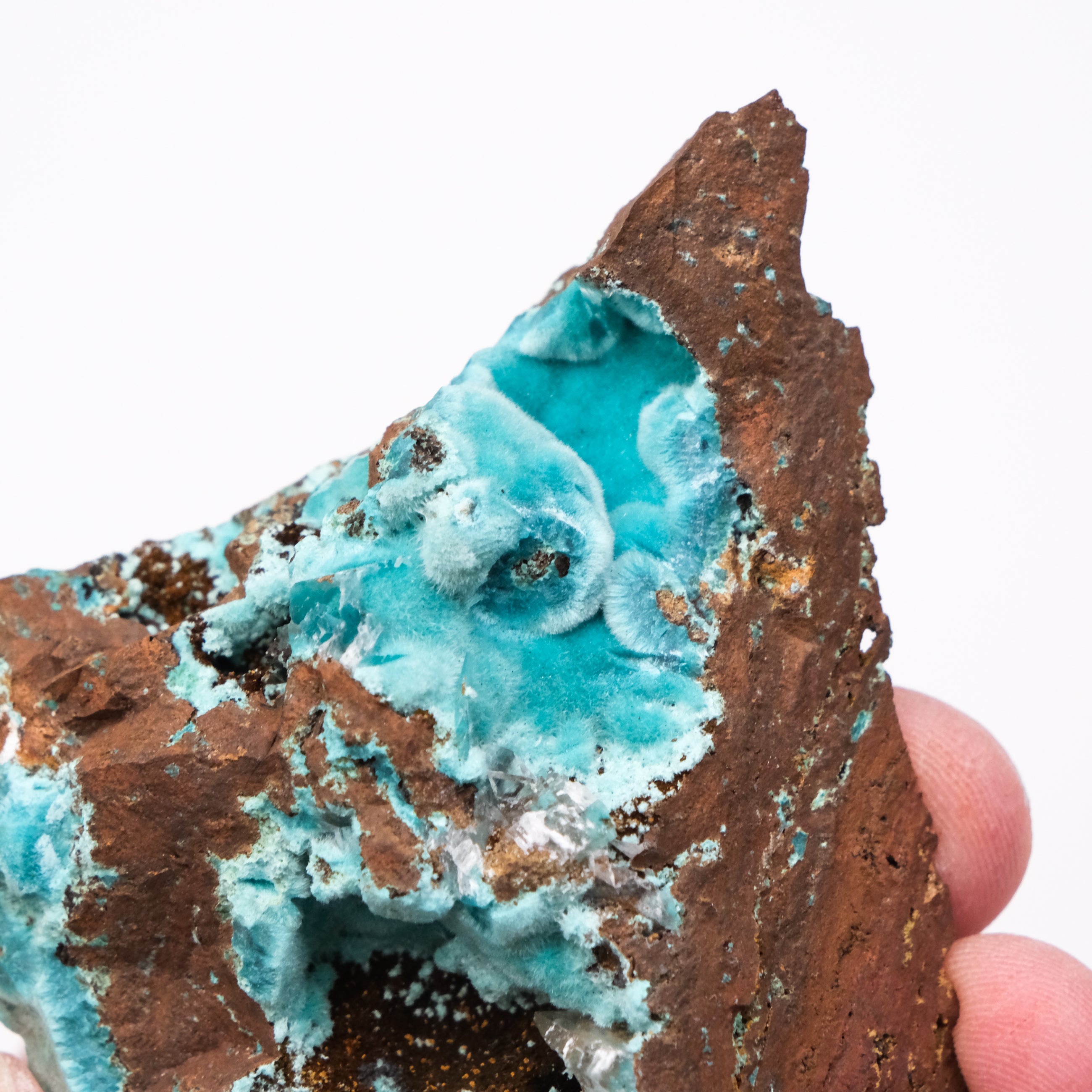 Rosasite Specimen - Noctis Studio Crystal and Stone Perth