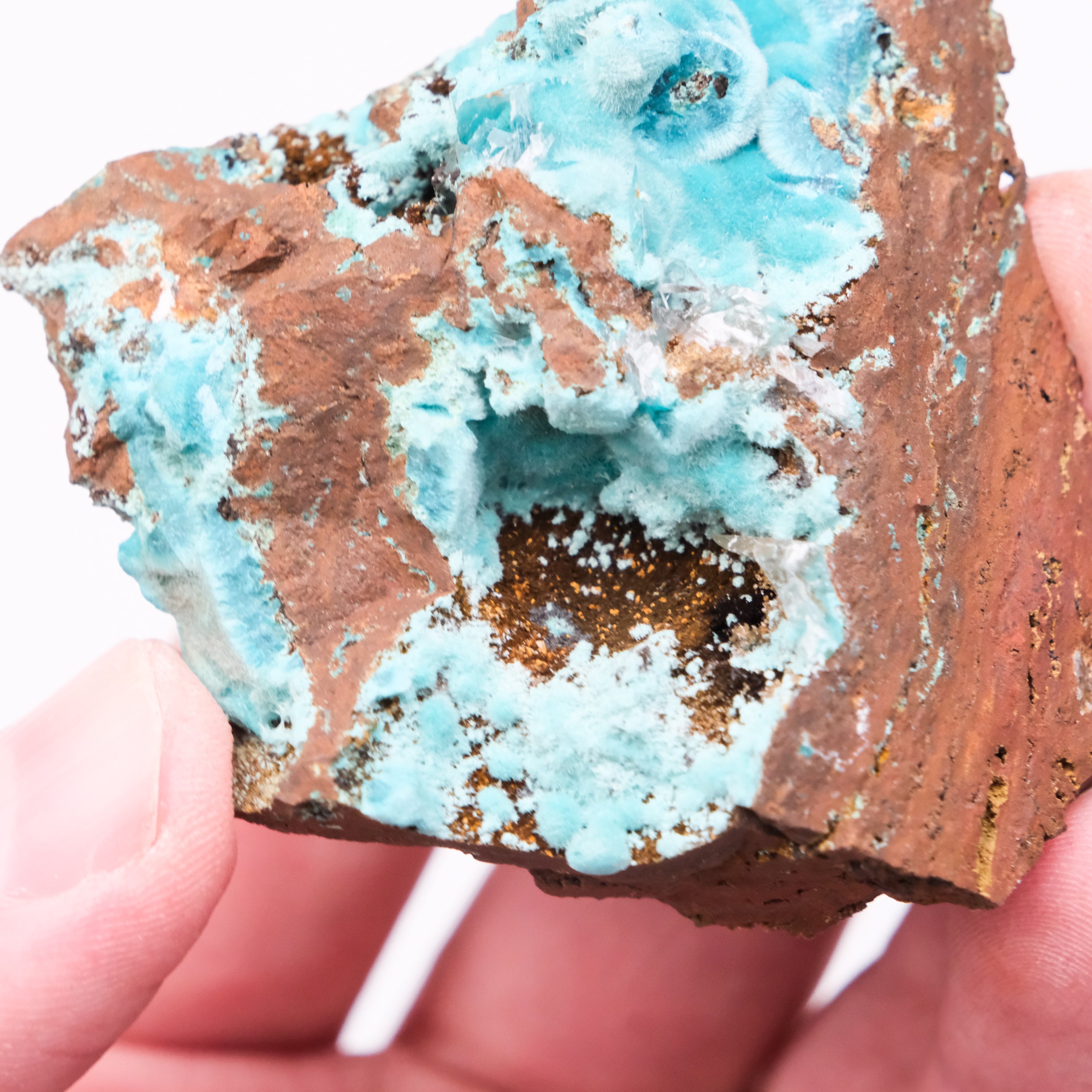 Rosasite Specimen - Noctis Studio Crystal and Stone Perth