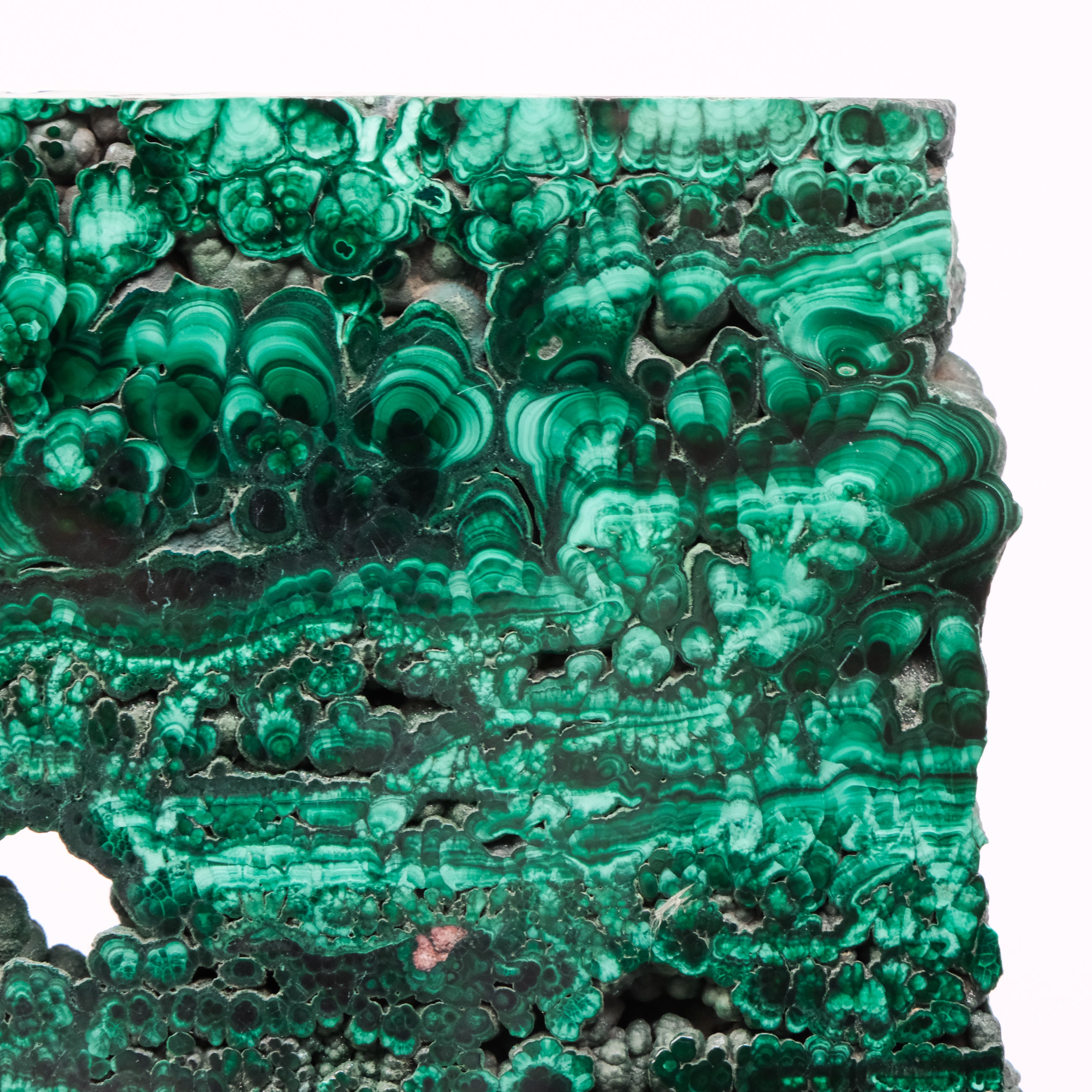 Malachite Slab - Noctis Studio Crystal and Stone Perth