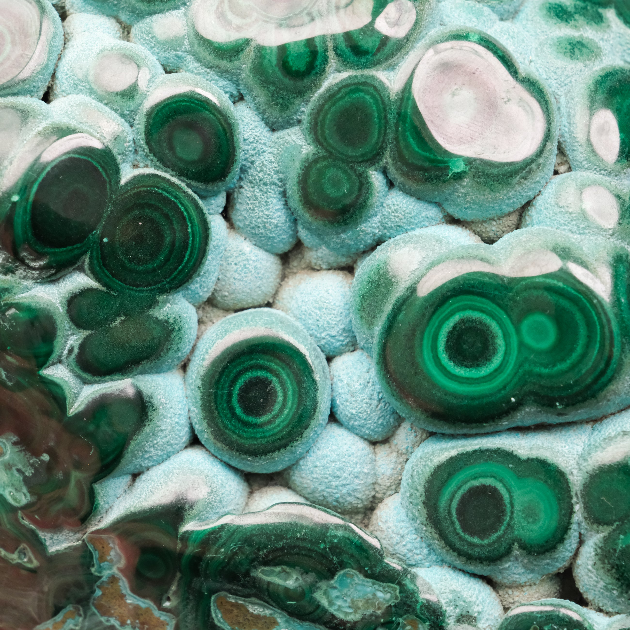 Chrysocolla & Malachite Specimen - Noctis Studio Crystal and Stone Perth