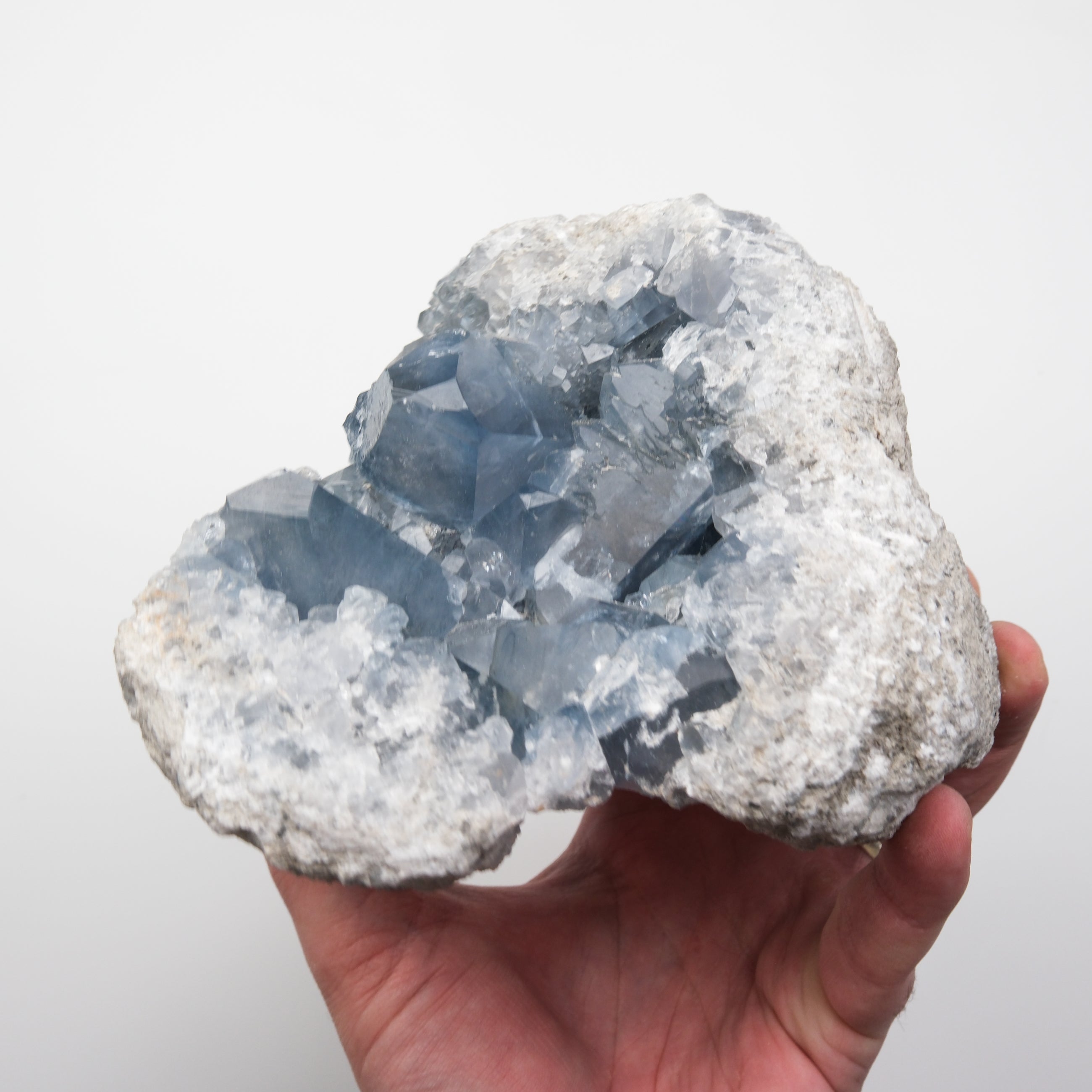 Celestite Geode - Noctis Studio Crystal and Stone Perth
